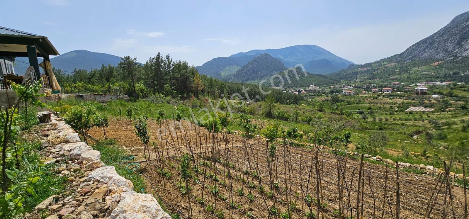 Murtiçi’nde Kendinizi Ayrıcalıklı Hissedeceğiniz 6400m2 Çiftlik - Görsel 23