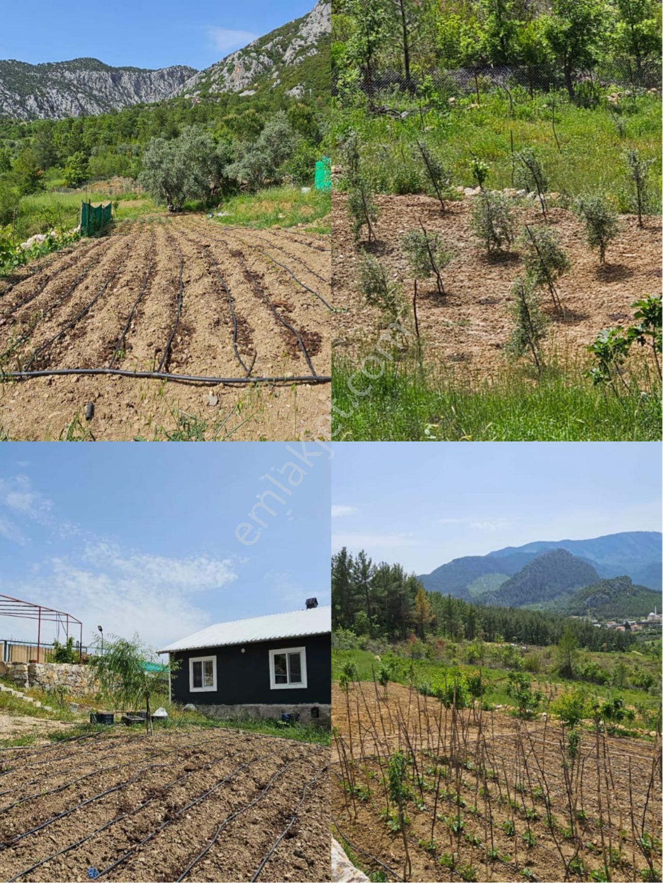 Murtiçi’nde Kendinizi Ayrıcalıklı Hissedeceğiniz 6400m2 Çiftlik - Görsel 10