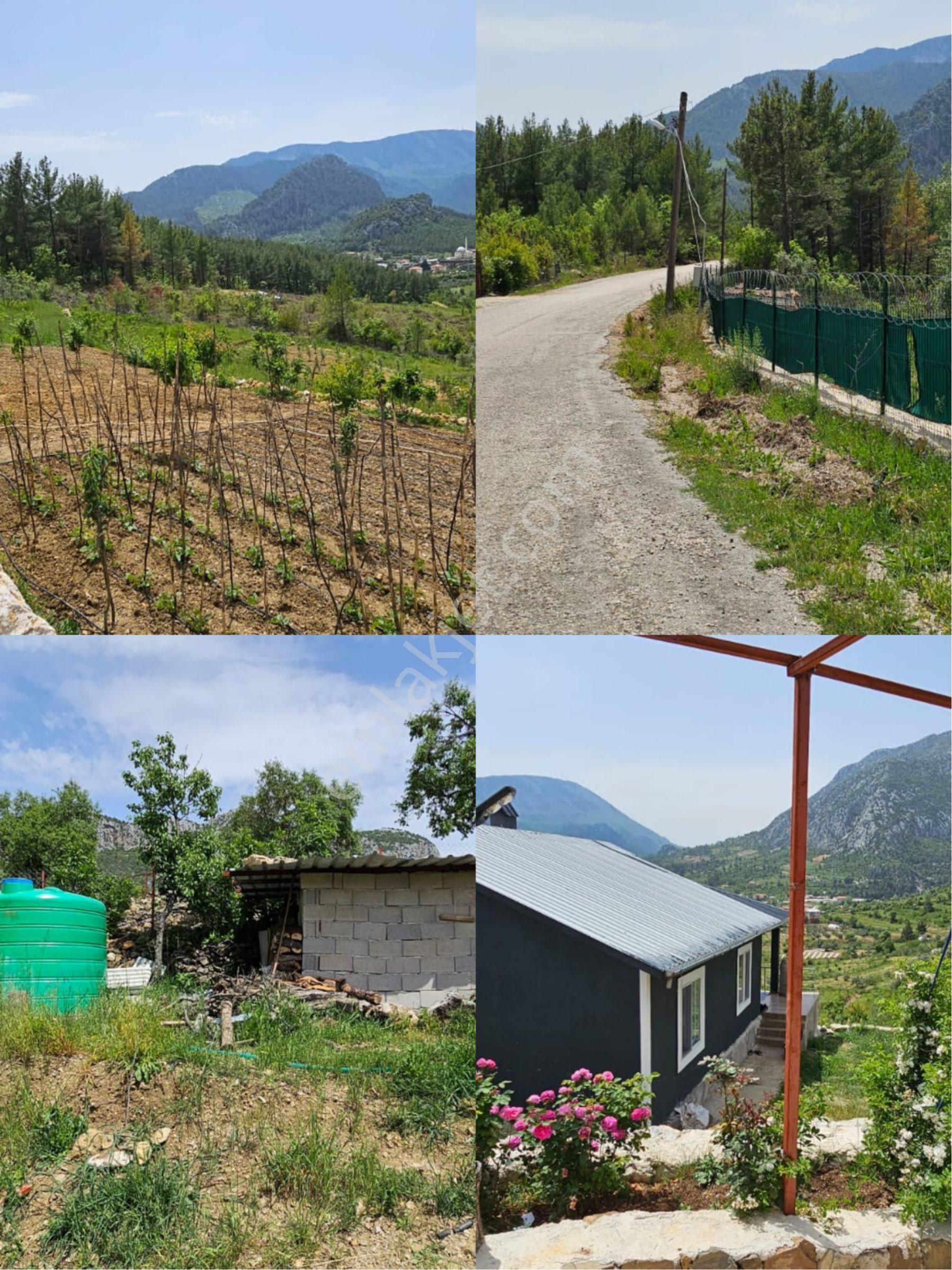 Murtiçi’nde Kendinizi Ayrıcalıklı Hissedeceğiniz 6400m2 Çiftlik - Görsel 15