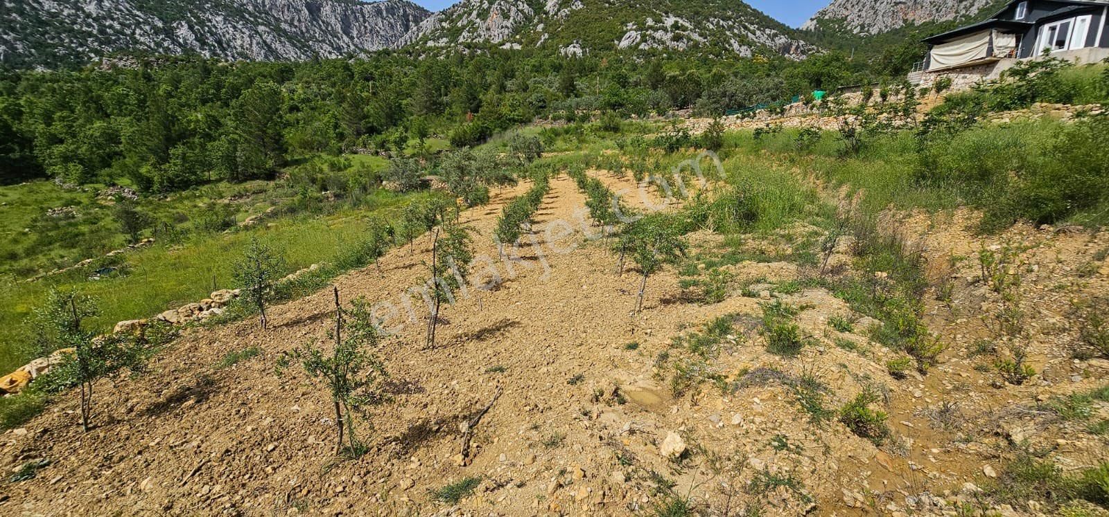 Murtiçi’nde Kendinizi Ayrıcalıklı Hissedeceğiniz 6400m2 Çiftlik - Görsel 31