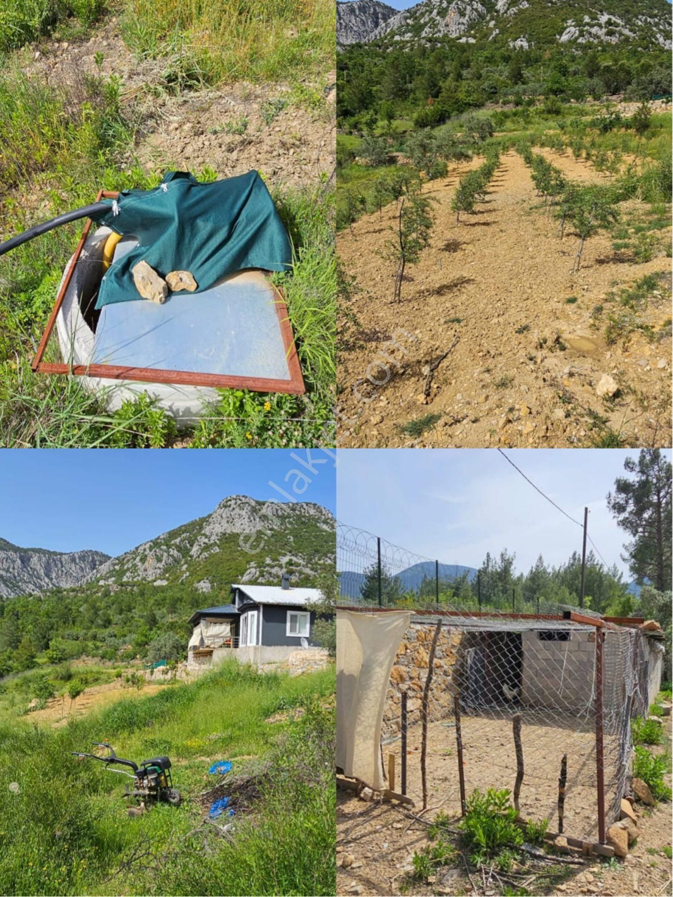 Murtiçi’nde Kendinizi Ayrıcalıklı Hissedeceğiniz 6400m2 Çiftlik - Görsel 13