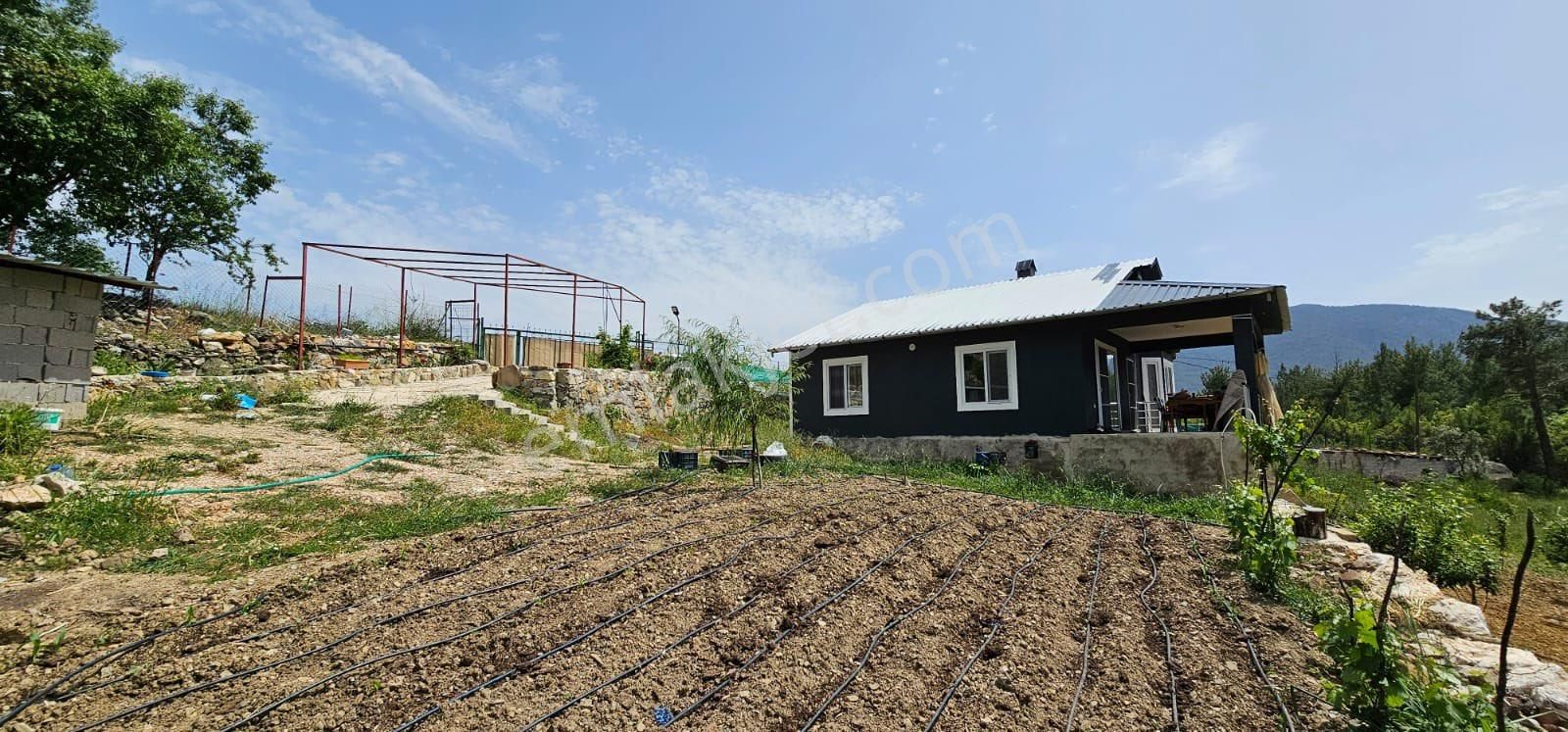 Murtiçi’nde Kendinizi Ayrıcalıklı Hissedeceğiniz 6400m2 Çiftlik - Görsel 24