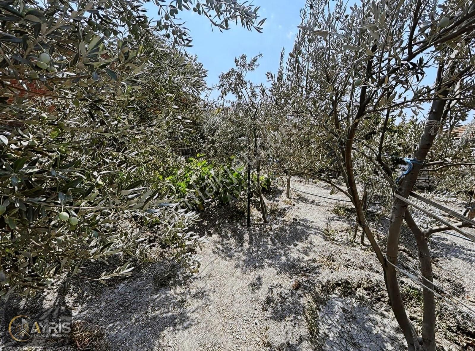 Foça Gerenköy Satılık Müstakil Ev - Görsel 11