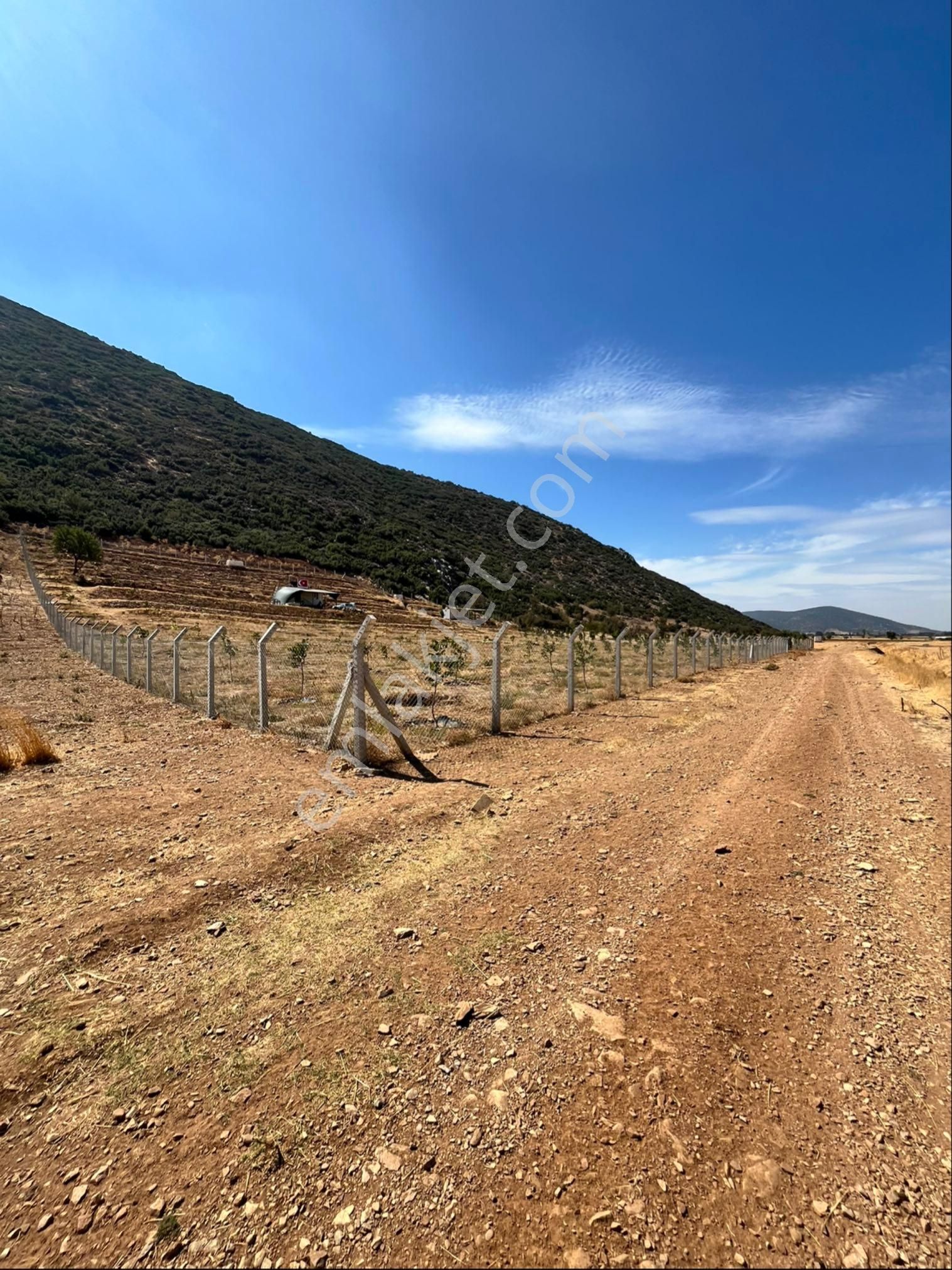 Sahibinden Yolu Suyu Olan Fırsat Tarla - Görsel 3
