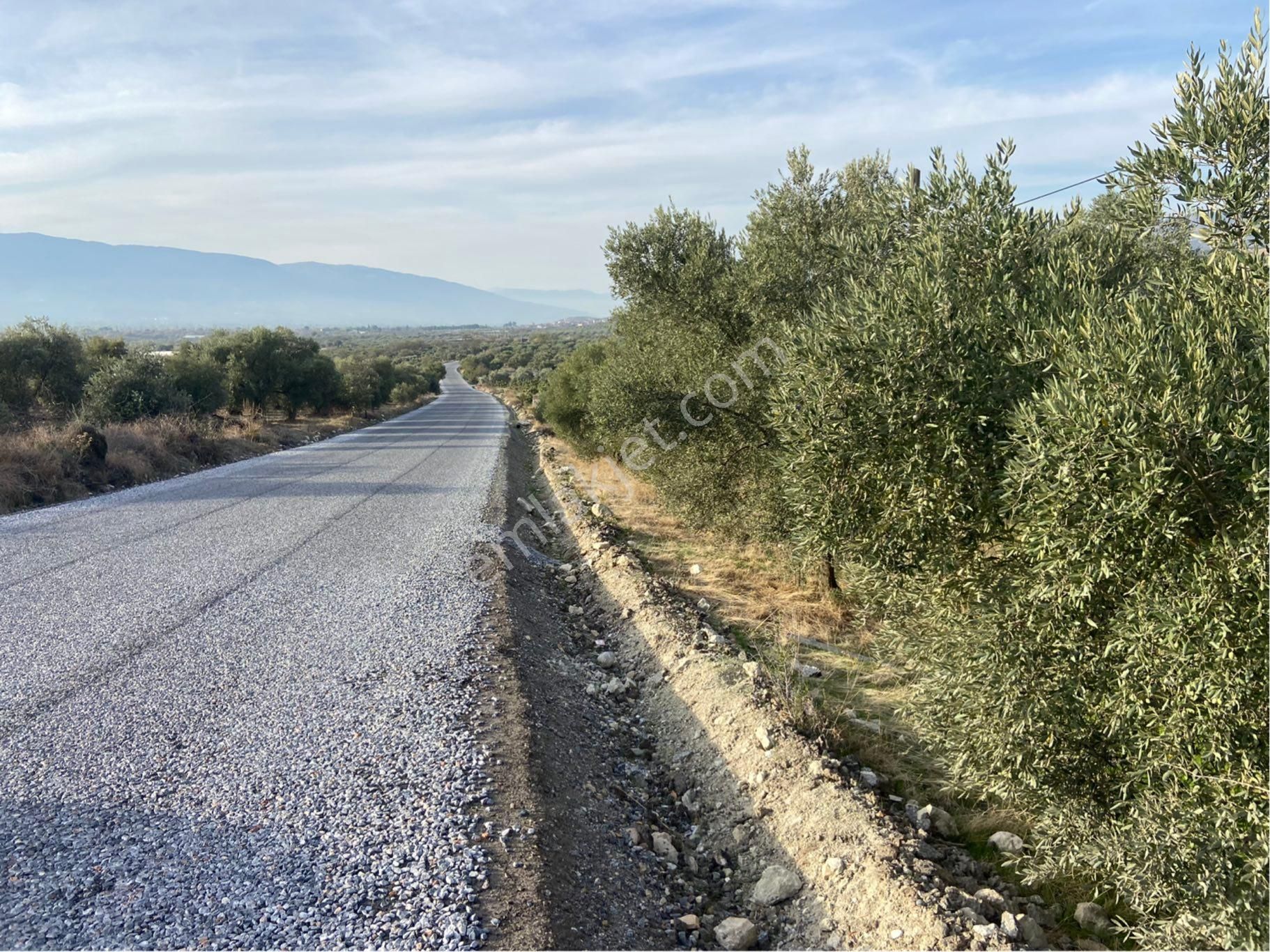 Has Umut Gayrimenkulden Fırsat Zeytinlik Ana Yol Üzeri - Görsel 13