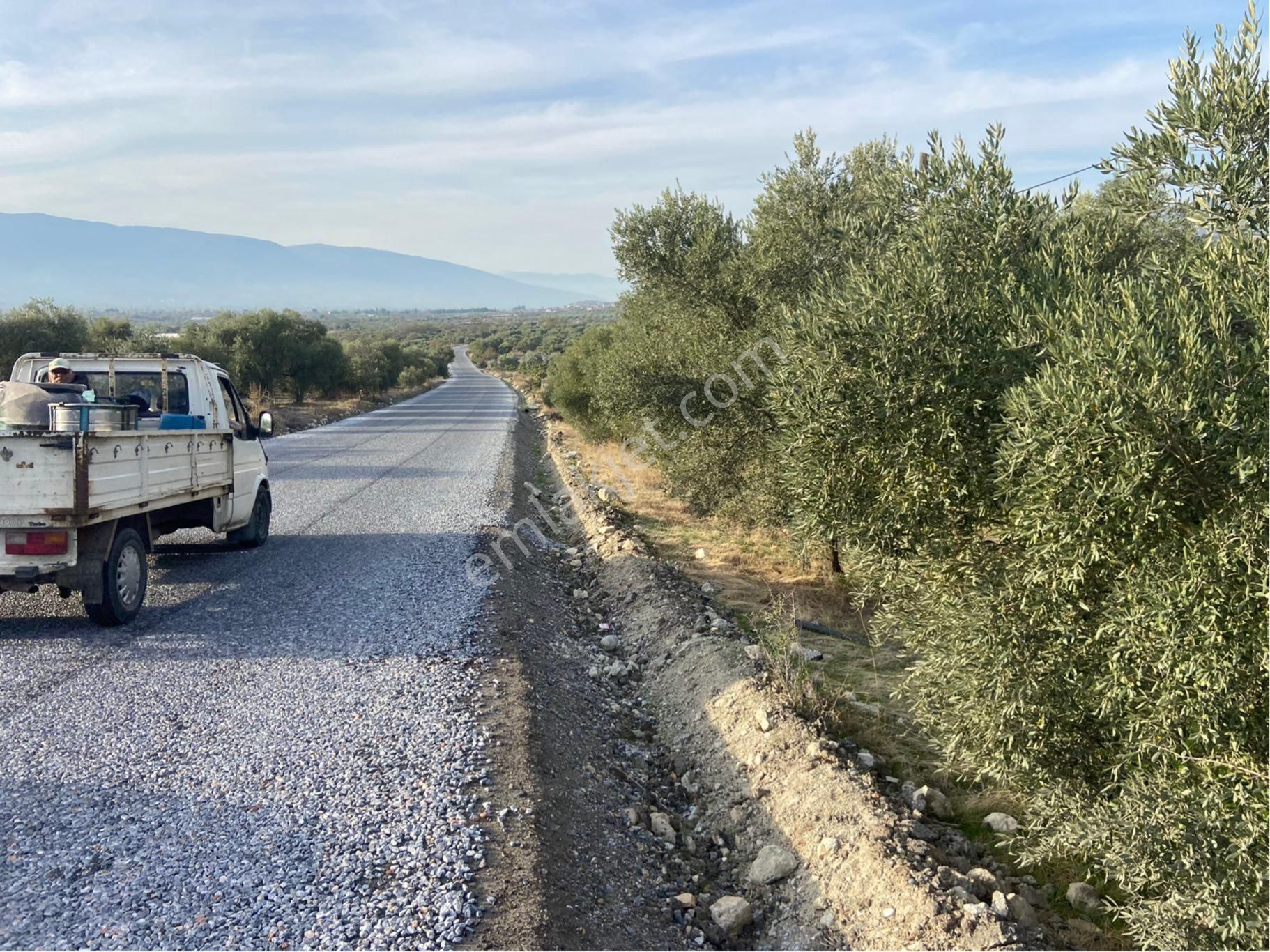 Has Umut Gayrimenkulden Fırsat Zeytinlik Ana Yol Üzeri - Görsel 14