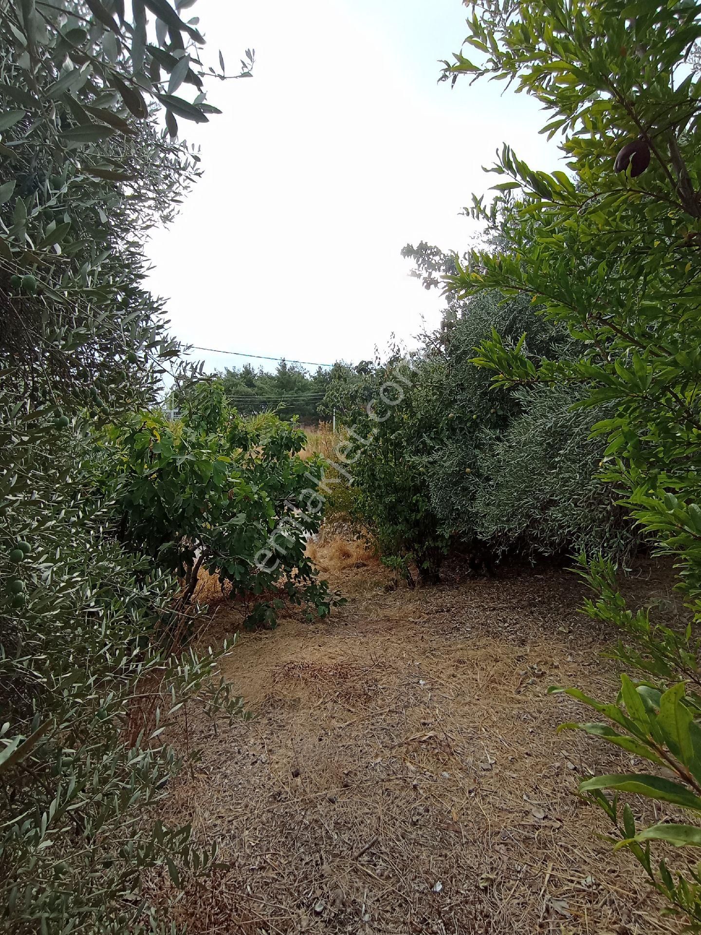 Alyans Emlak'tan Satilik Konut İmarli - Görsel 5