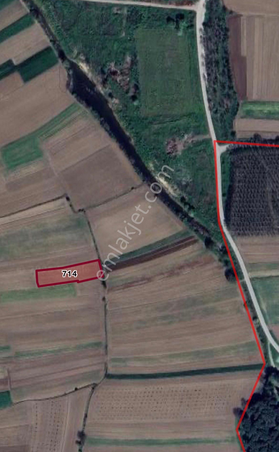 Satılık Verimli Tarla – Yenidoğan Köyüne 500 Metre Mesafede