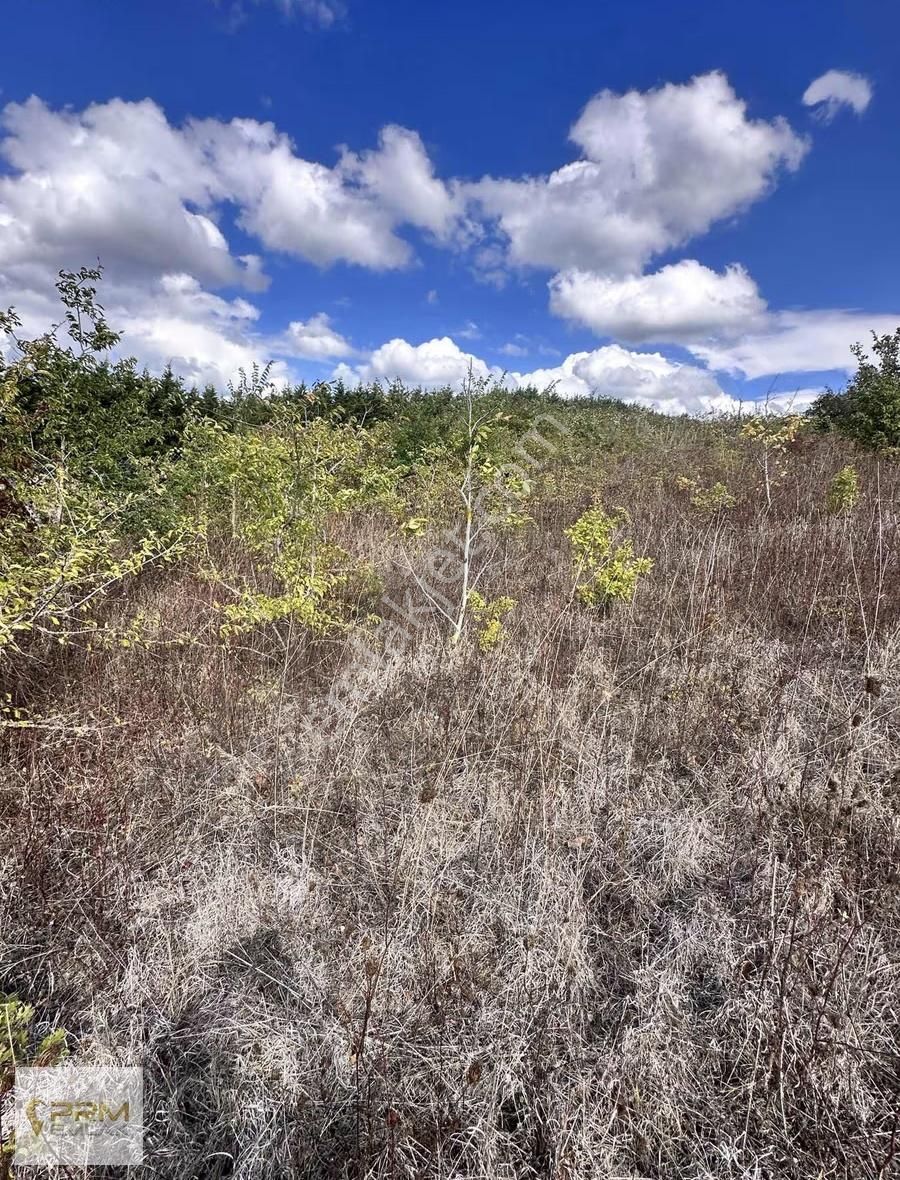 Prm Emlaktan Çatalca Örencikte 503 M² Manzaralı Parsel - Görsel 13