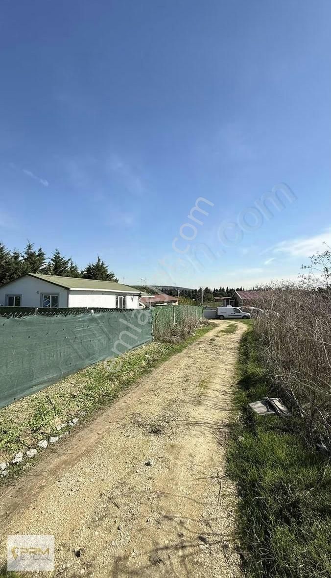 Çatalca Elbasanda 2+1 Evli 350 M² Arsa - Görsel 5