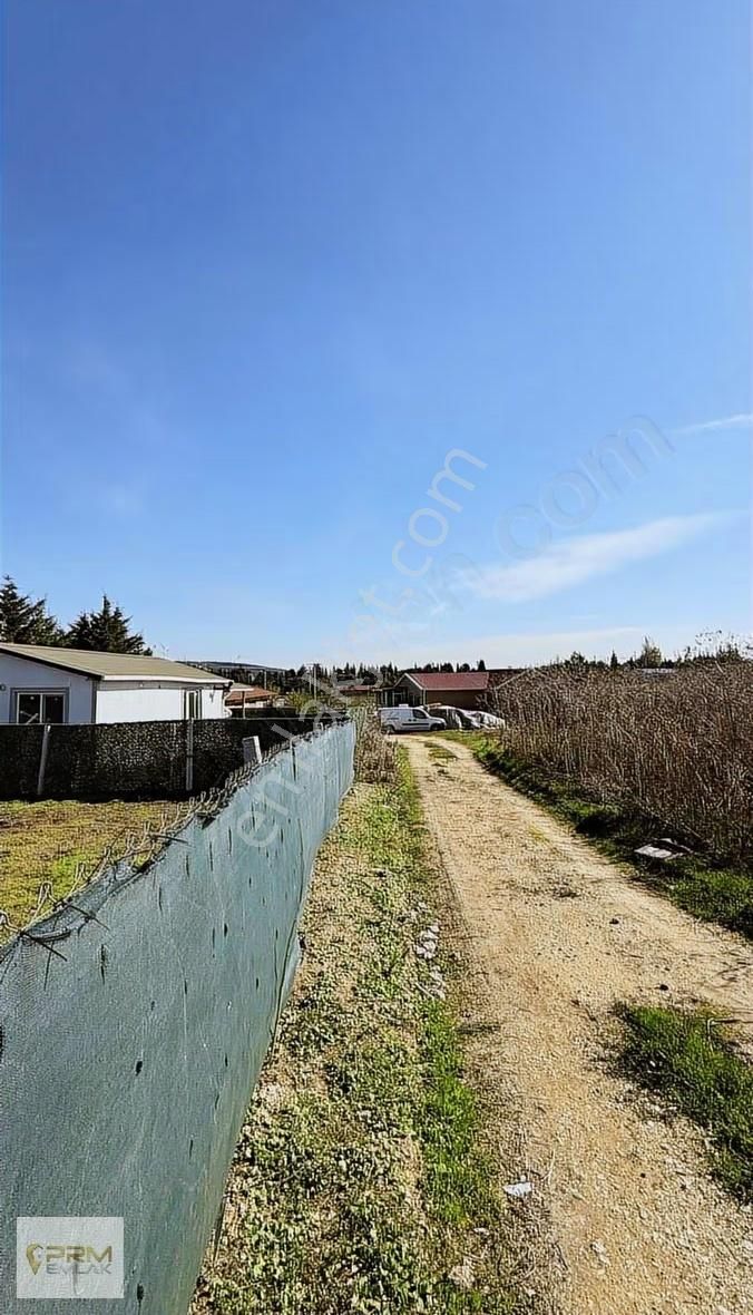 Çatalca Elbasanda 2+1 Evli 350 M² Arsa - Görsel 9