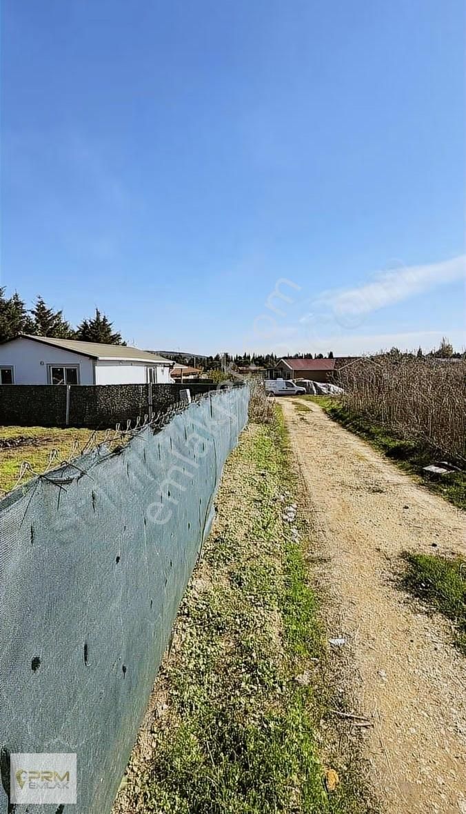 Çatalca Elbasanda 2+1 Evli 350 M² Arsa - Görsel 3