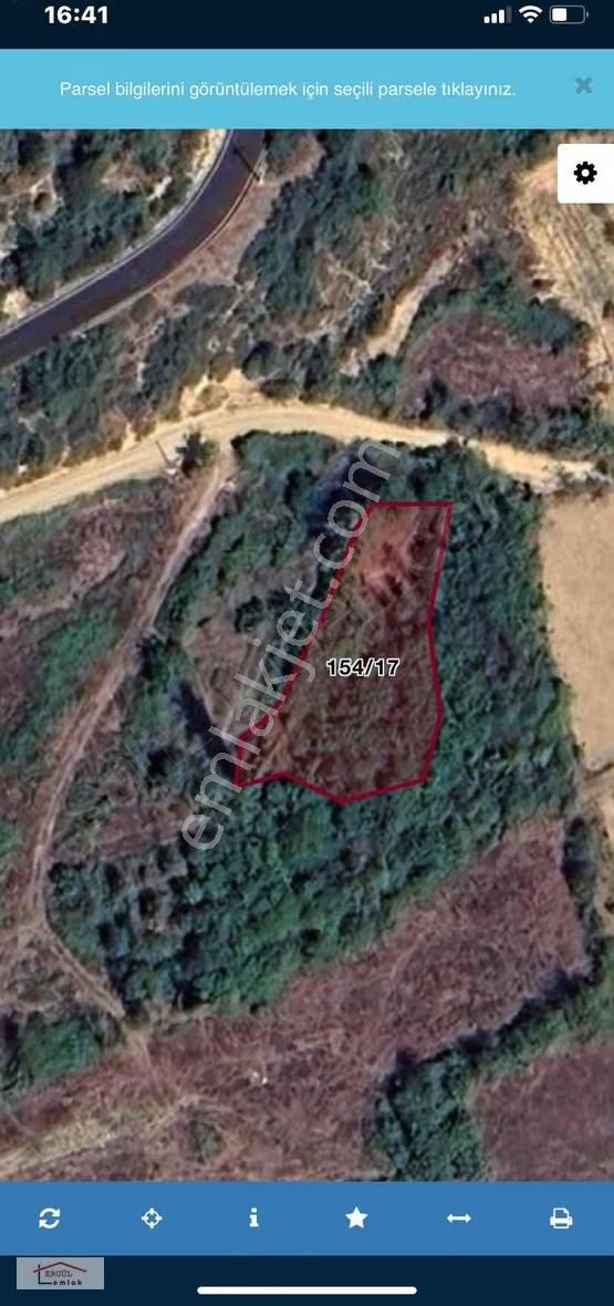 Geyve Ilıcada Yerleşime Yakın Satılık Tarla - Görsel 4