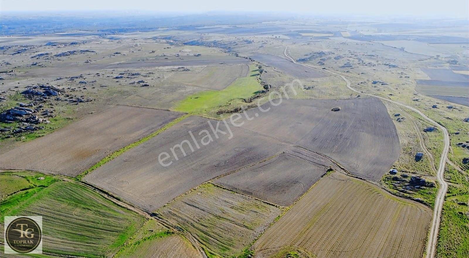 Kırklareli Merkez Kayalı Köyünde Satılık 70 Dönüm Fırsat Arazi - Görsel 6