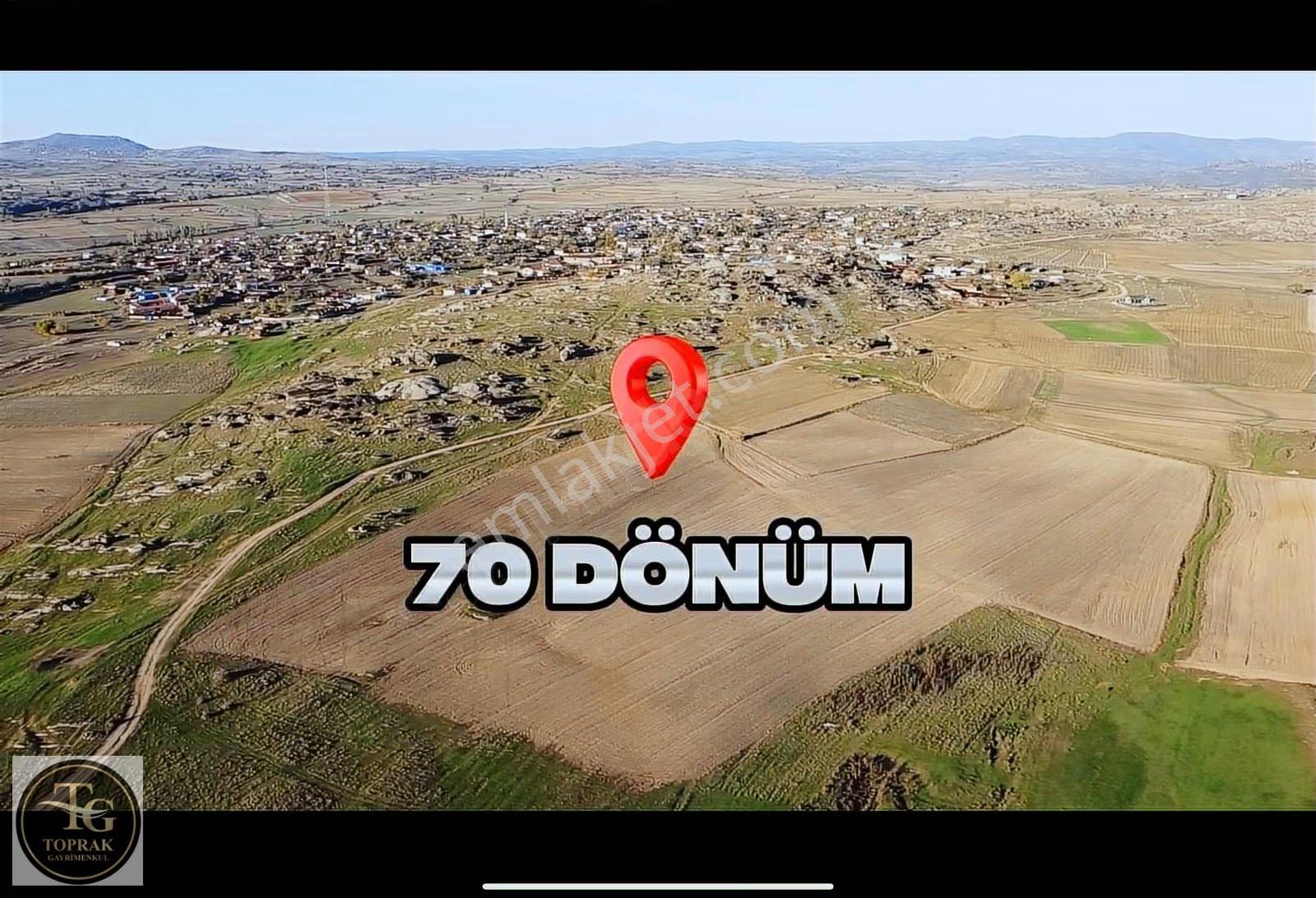 Kırklareli Merkez Kayalı Köyünde Satılık 70 Dönüm Fırsat Arazi - Görsel 5
