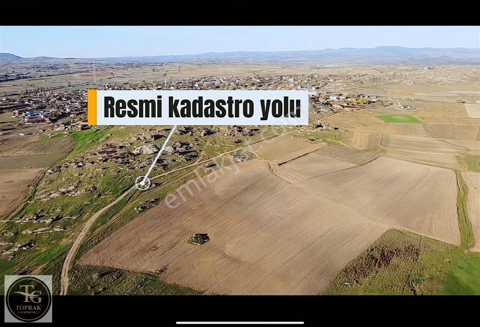 Kırklareli Merkez Kayalı Köyünde Satılık 70 Dönüm Fırsat Arazi - Görsel 7