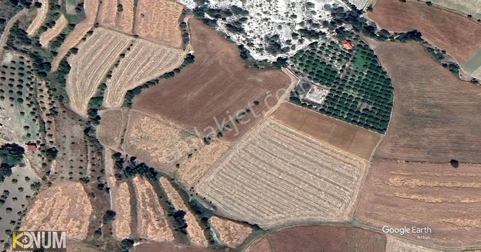 Çamelinin En Ucuz Tarlası Acil Satılık 4000 M2 Gökçeyaka - Görsel 12