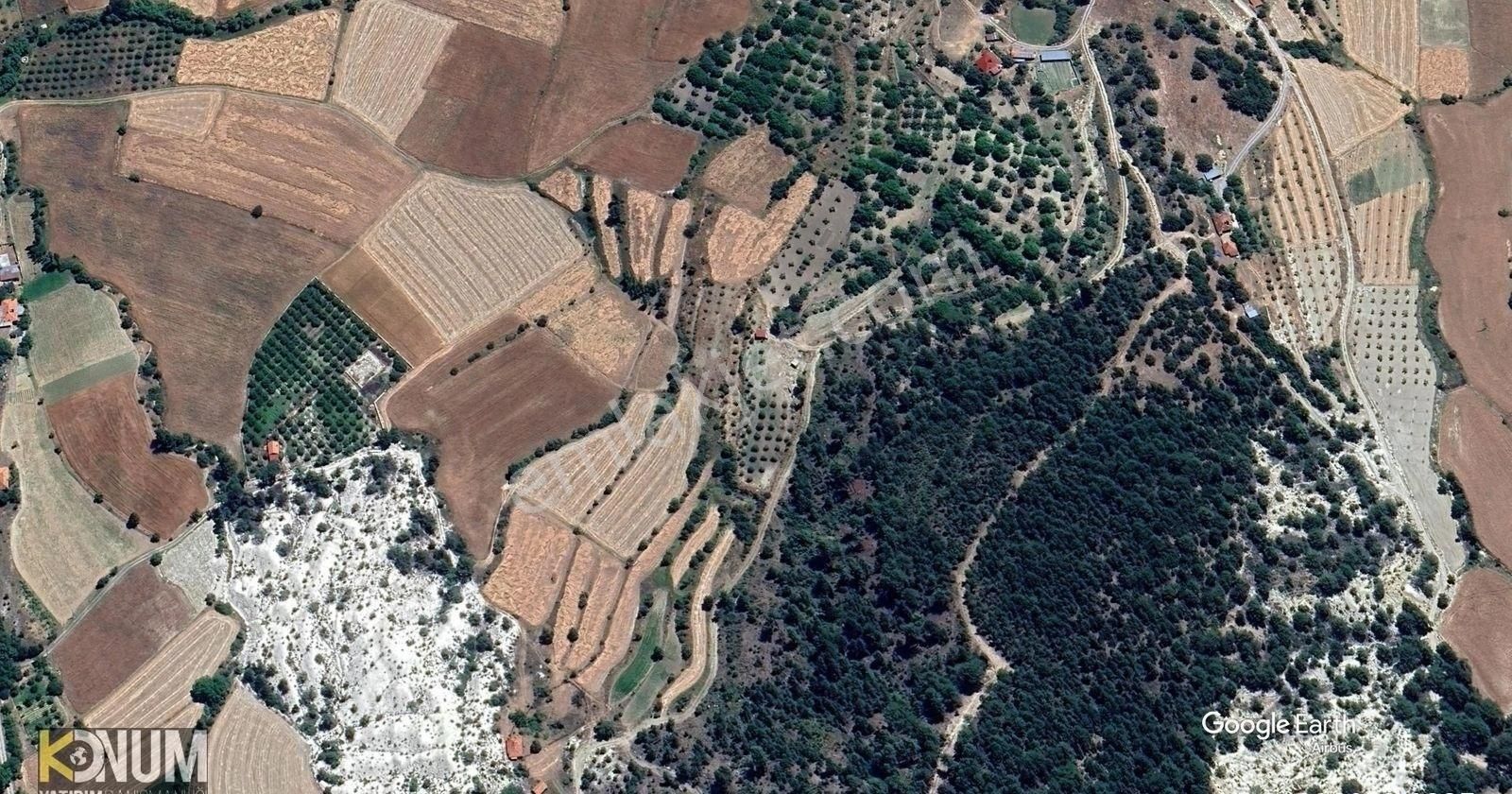 Çamelinin En Ucuz Tarlası Acil Satılık 4000 M2 Gökçeyaka - Görsel 5