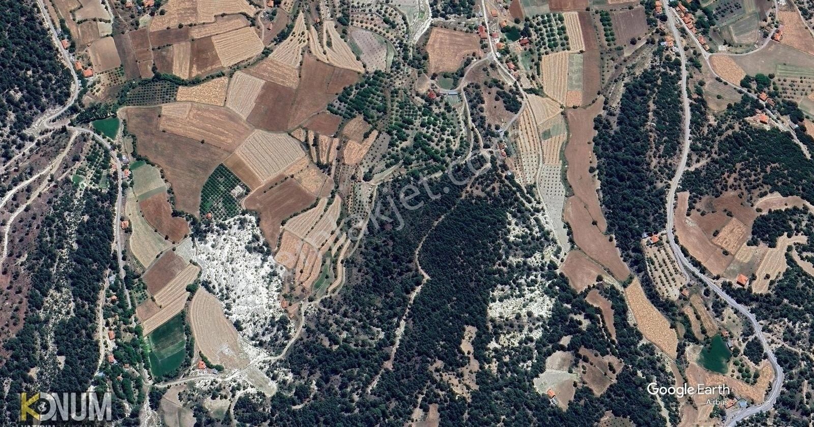 Çamelinin En Ucuz Tarlası Acil Satılık 4000 M2 Gökçeyaka - Görsel 4