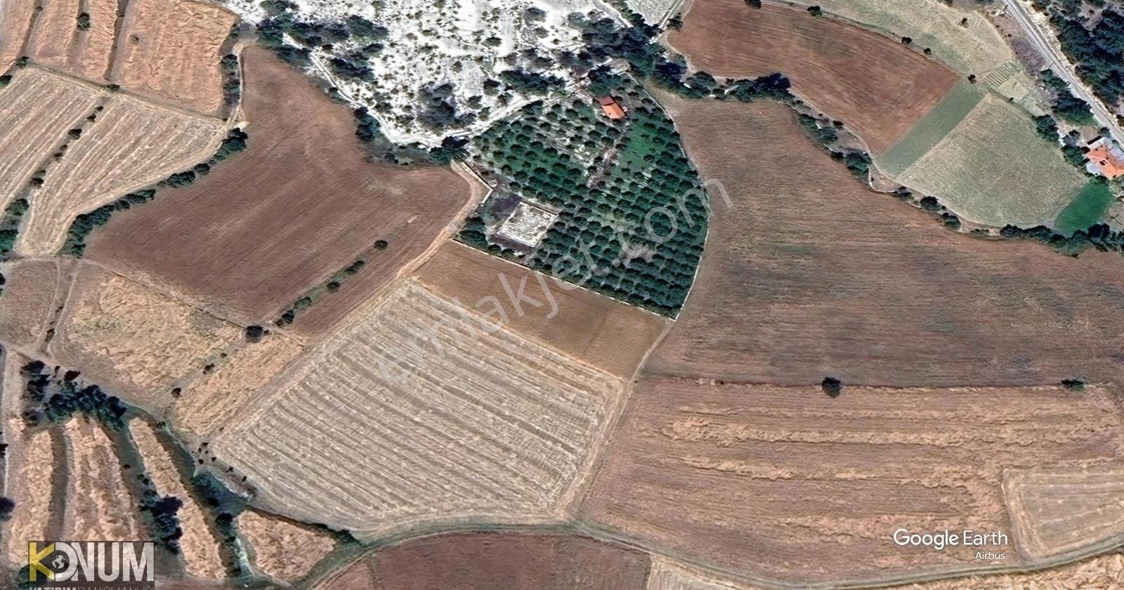 Çamelinin En Ucuz Tarlası Acil Satılık 4000 M2 Gökçeyaka - Görsel 13