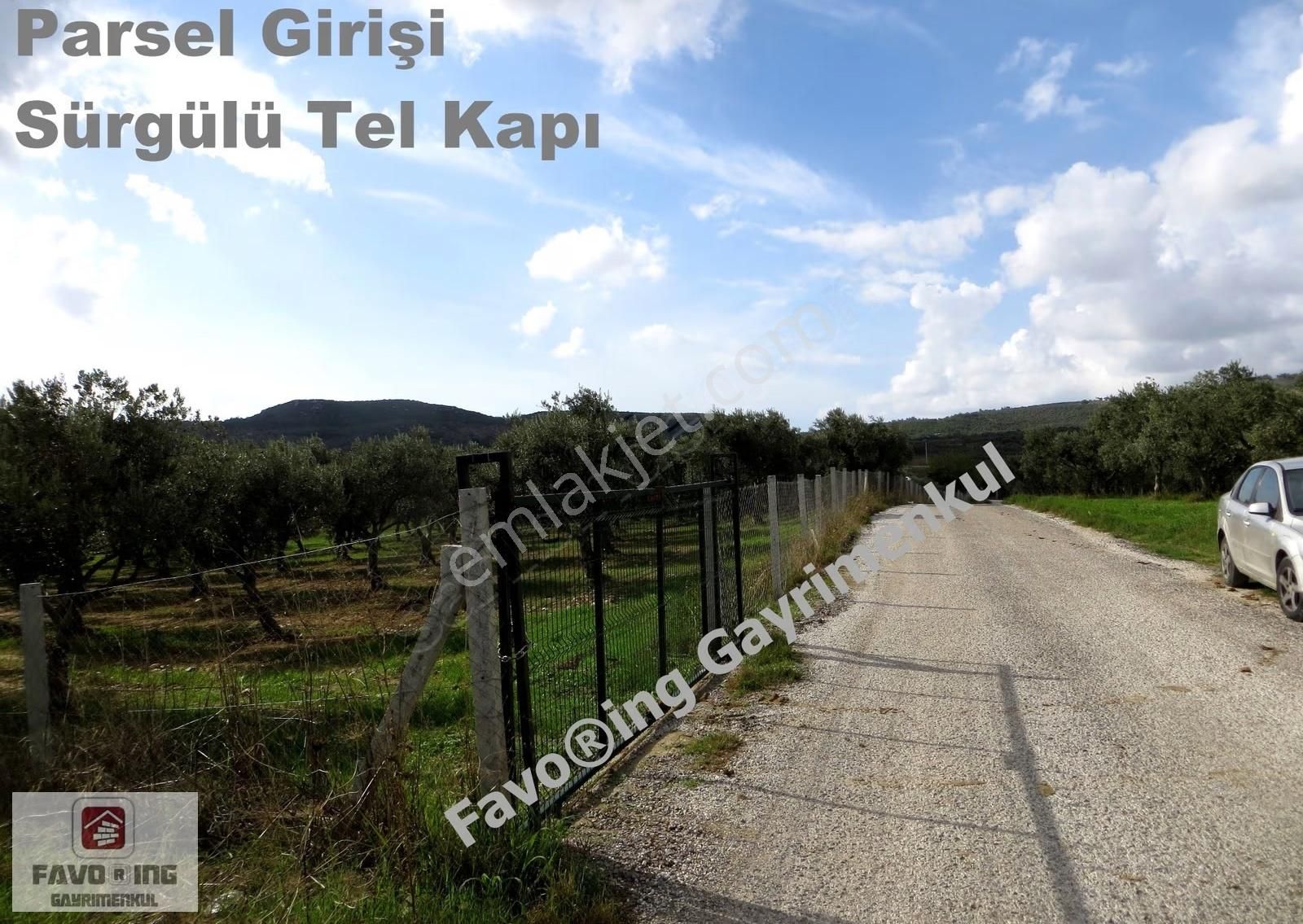 Torbalı Çapak | Anayola 1 Km. | 12.750 M2 Satılık Zeytinlik - Görsel 5