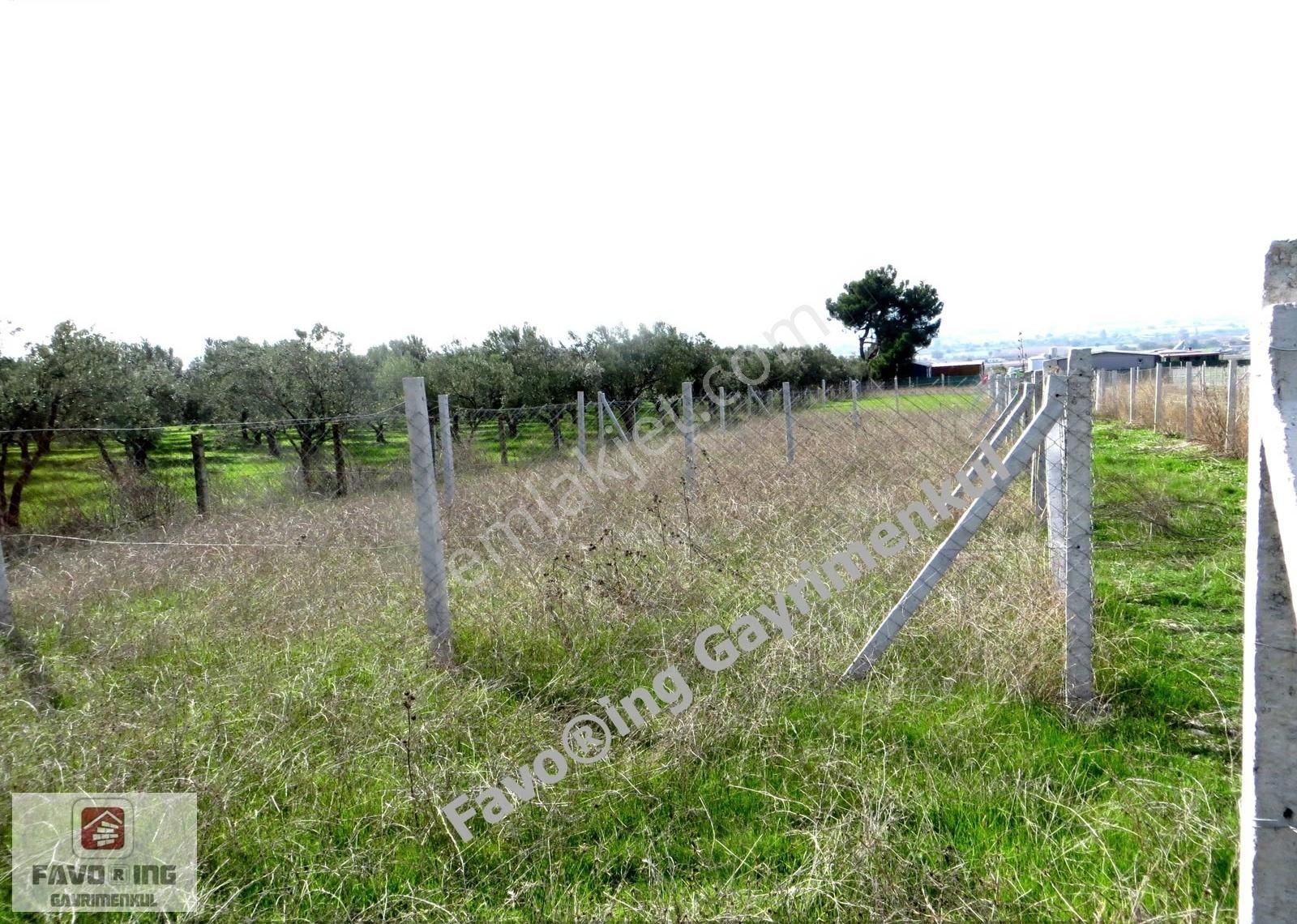 Menderes Tekeli | 240 M2 Tapudan Teslim | Hisse Tapulu Bahçe - Görsel 10