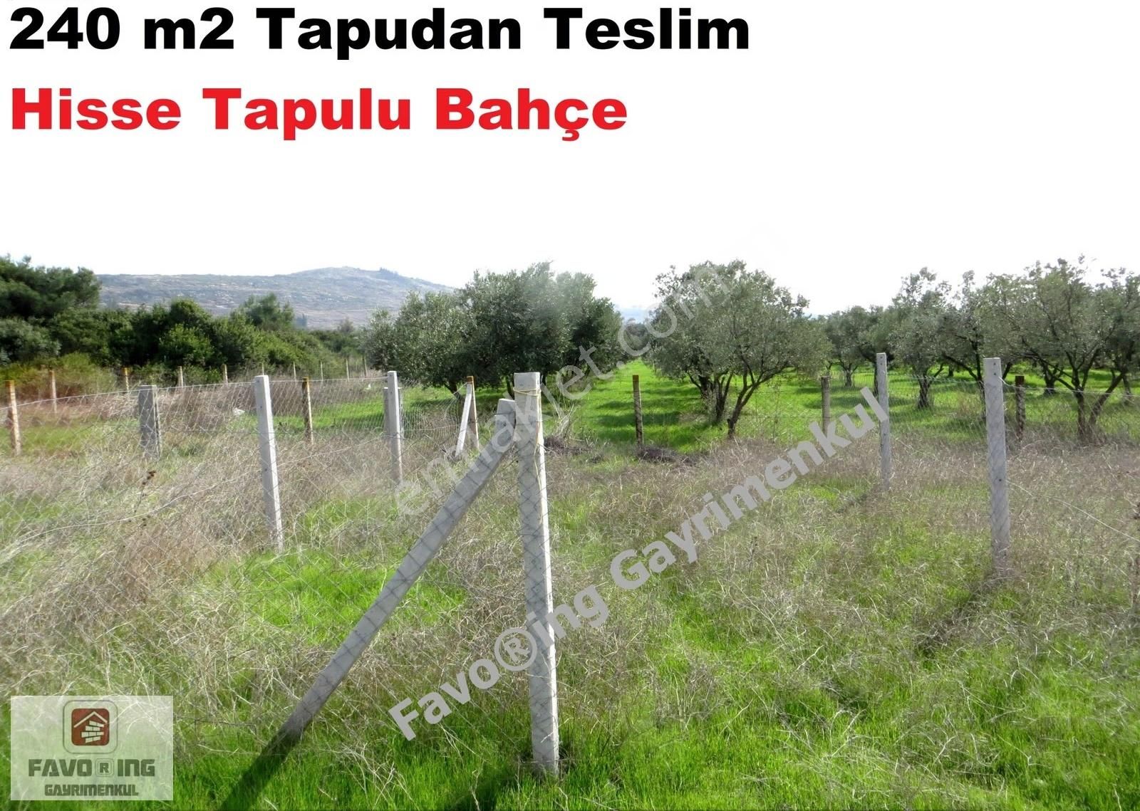 Menderes Tekeli | 240 M2 Tapudan Teslim | Hisse Tapulu Bahçe - Görsel 4