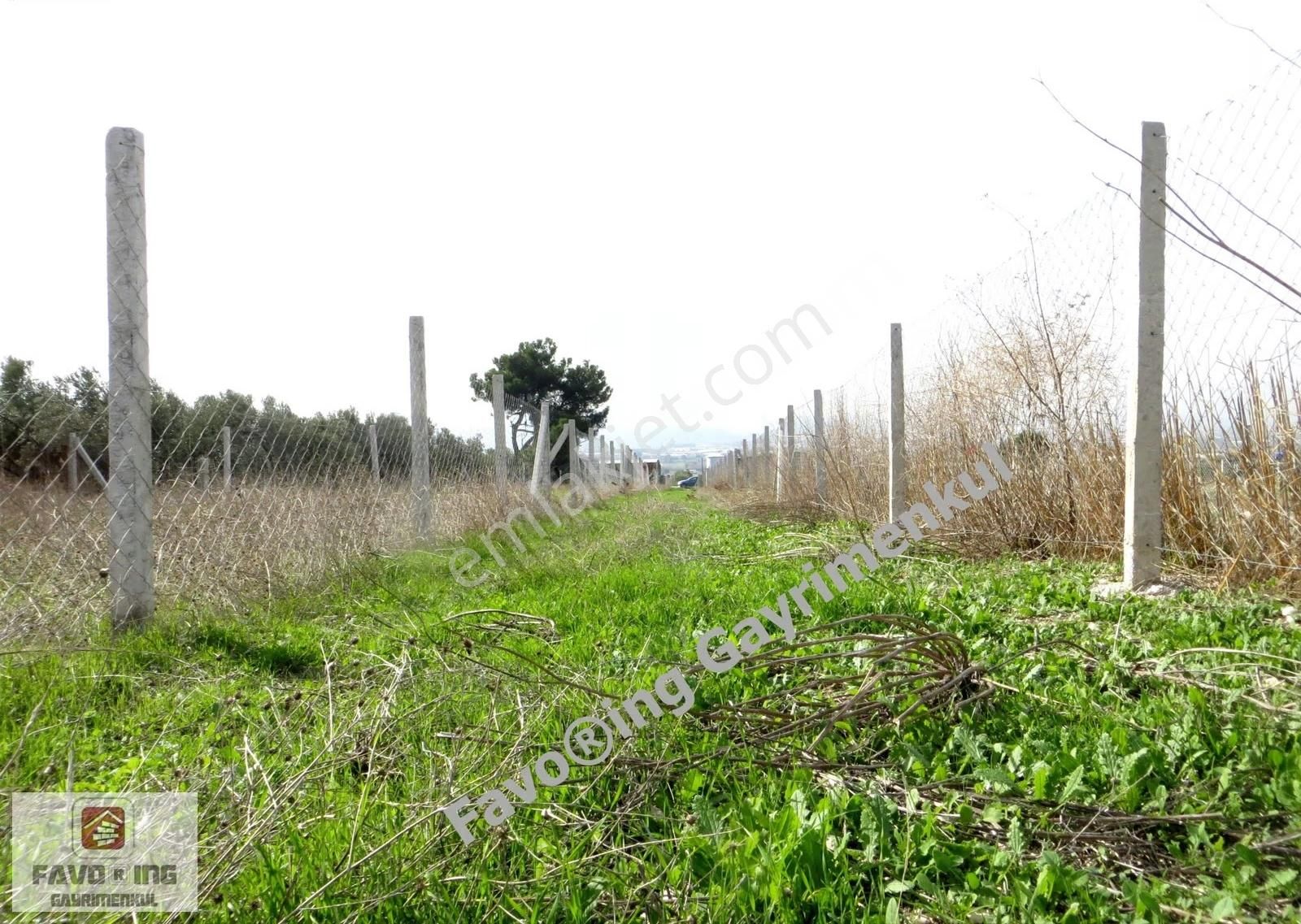 Menderes Tekeli | 240 M2 Tapudan Teslim | Hisse Tapulu Bahçe - Görsel 7