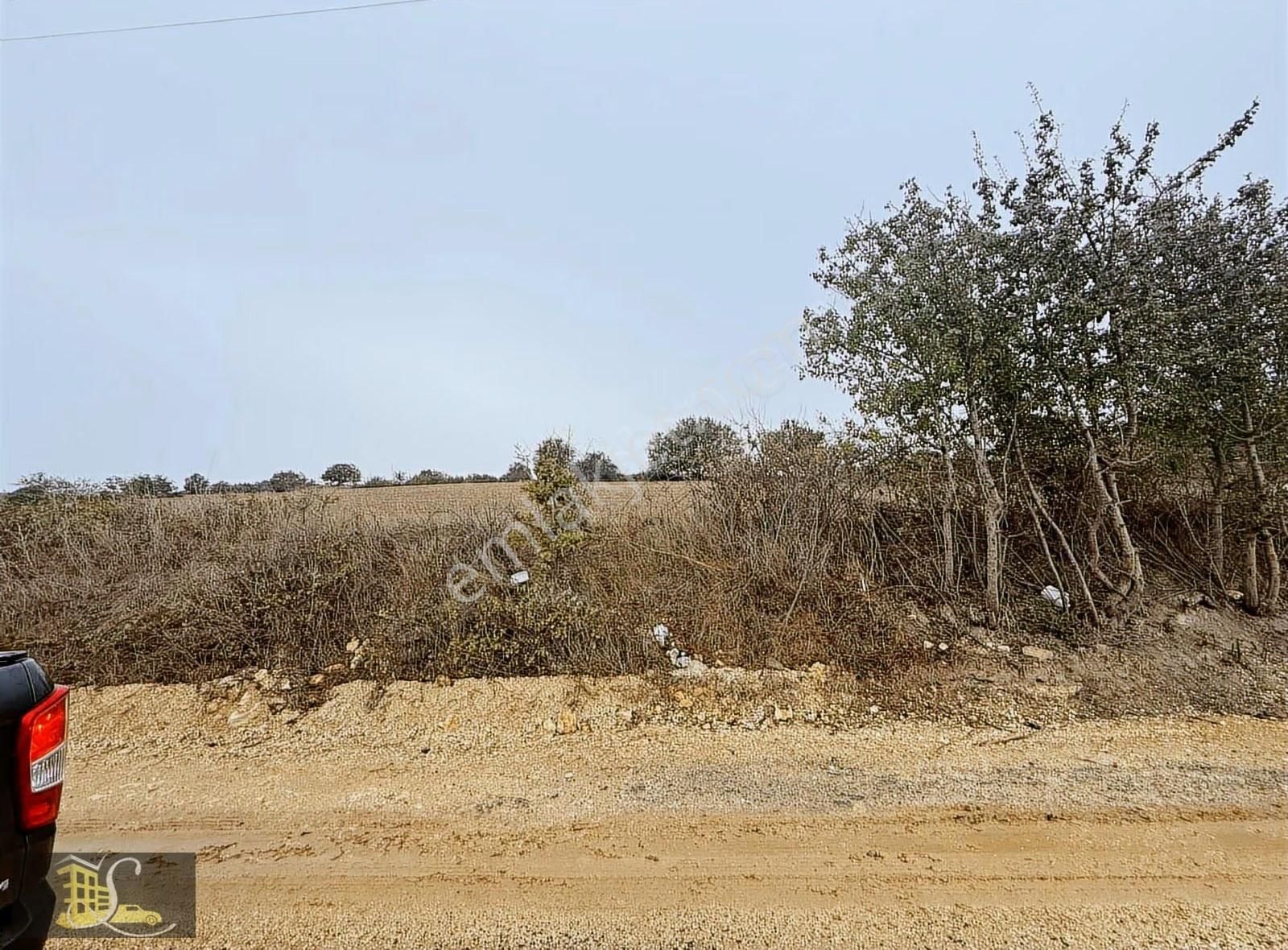 Serdaroğlun'dan 400 Metre Kadastro Yoluna Cephe Fırsat Arazi - Görsel 10