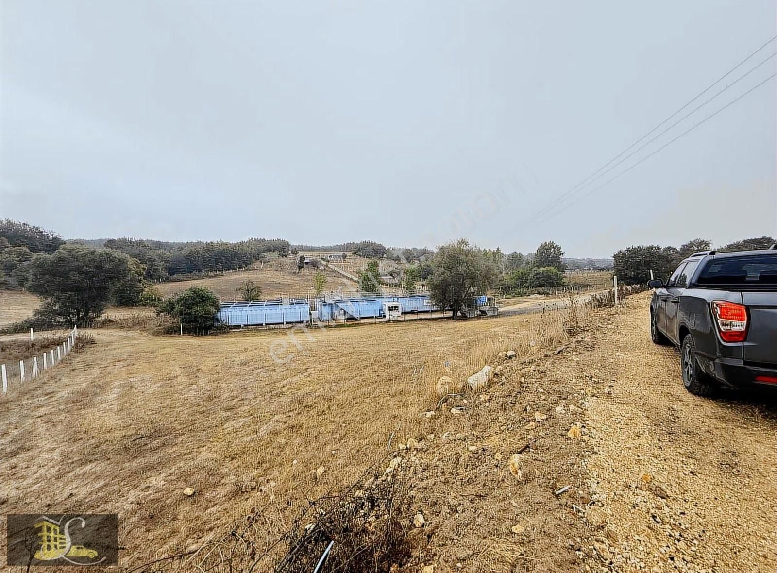 Serdaroğlun'dan 400 Metre Kadastro Yoluna Cephe Fırsat Arazi - Görsel 12