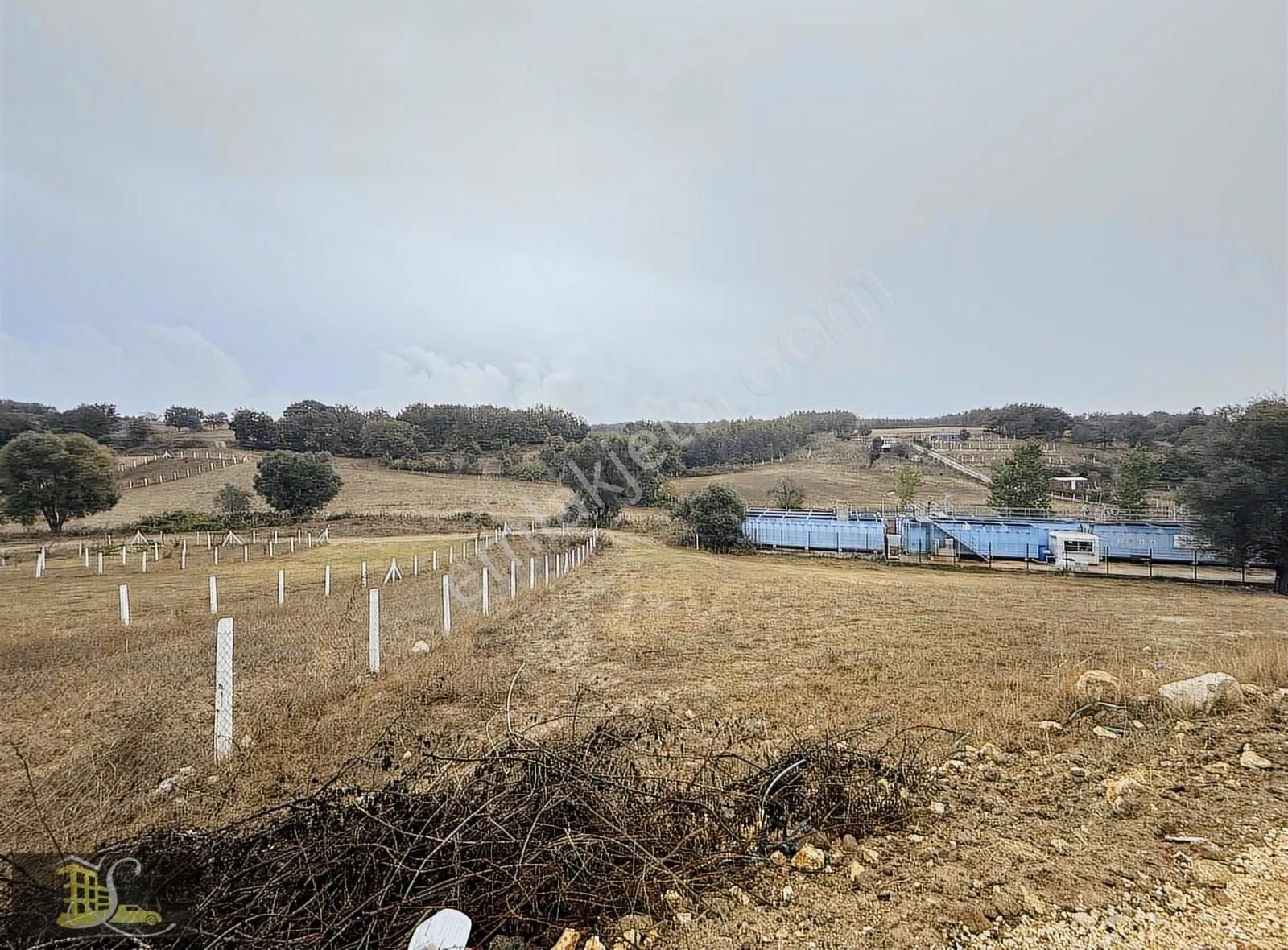 Serdaroğlun'dan 400 Metre Kadastro Yoluna Cephe Fırsat Arazi - Görsel 9