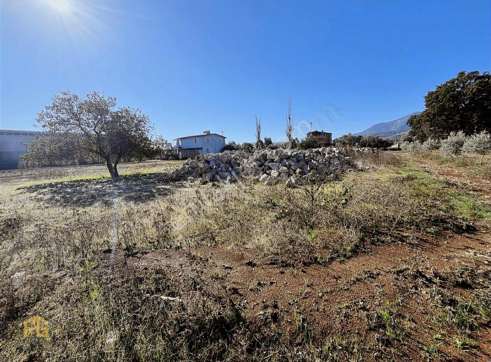 Seydikemer Kabaağaçta İmarlı 1267m2 Satılık Fırsat Tarla - Görsel 8