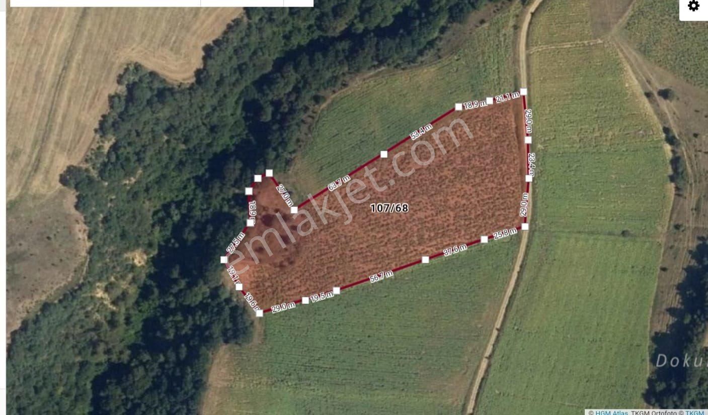 Roma’ Dan Alaylı Mahallesi’ Nde Satılık Tarla - Görsel 2