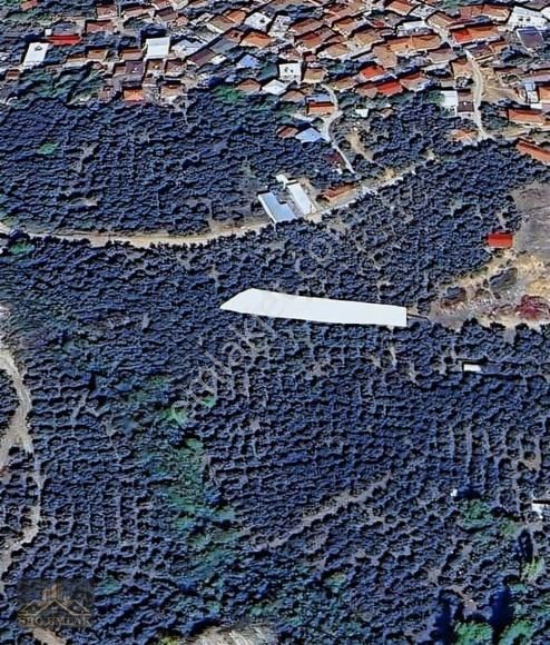 Bursa İznik Müşküle De Göl Manzalı 2 Parsel Hobi Bahçelik Yer - Görsel 3