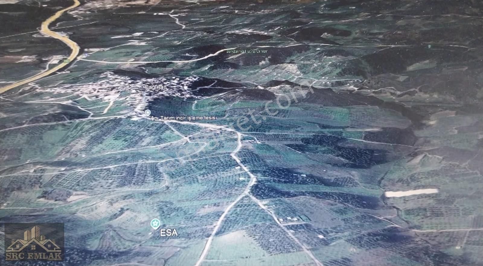 Bursa Osmangazi Çaglayan Köyde Yatırımlık Zeytin Ve İncirlik - Görsel 6