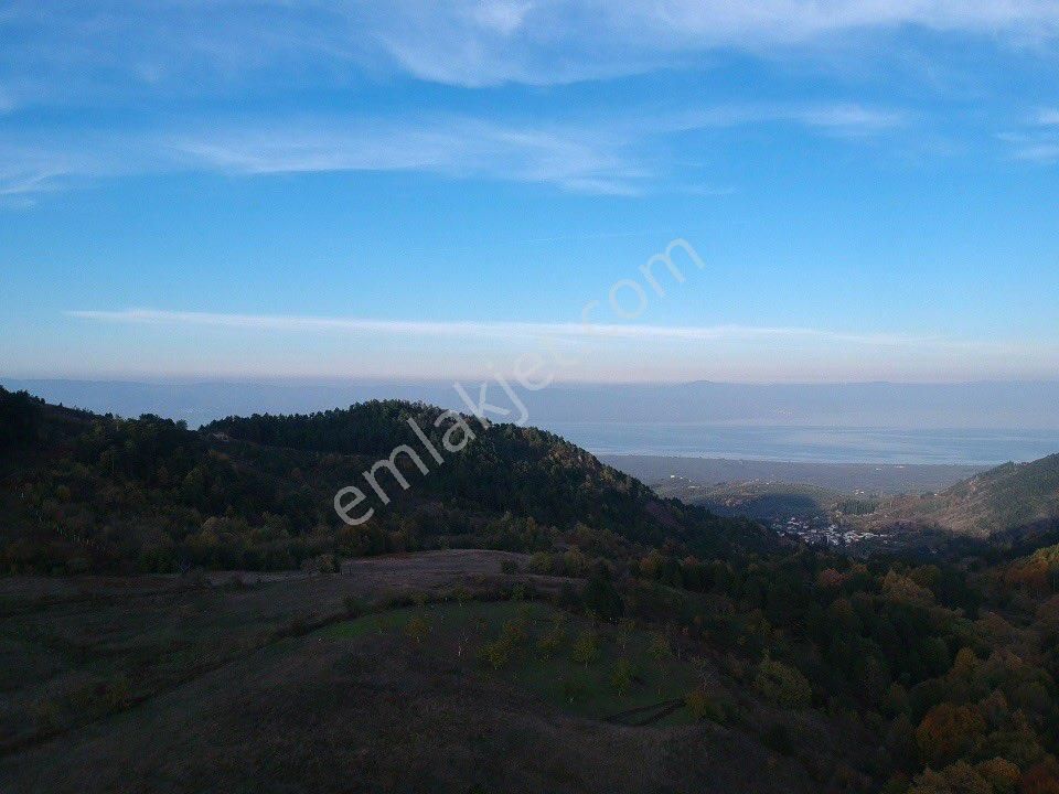 Orhangazi Yenisölöz - Görsel 4