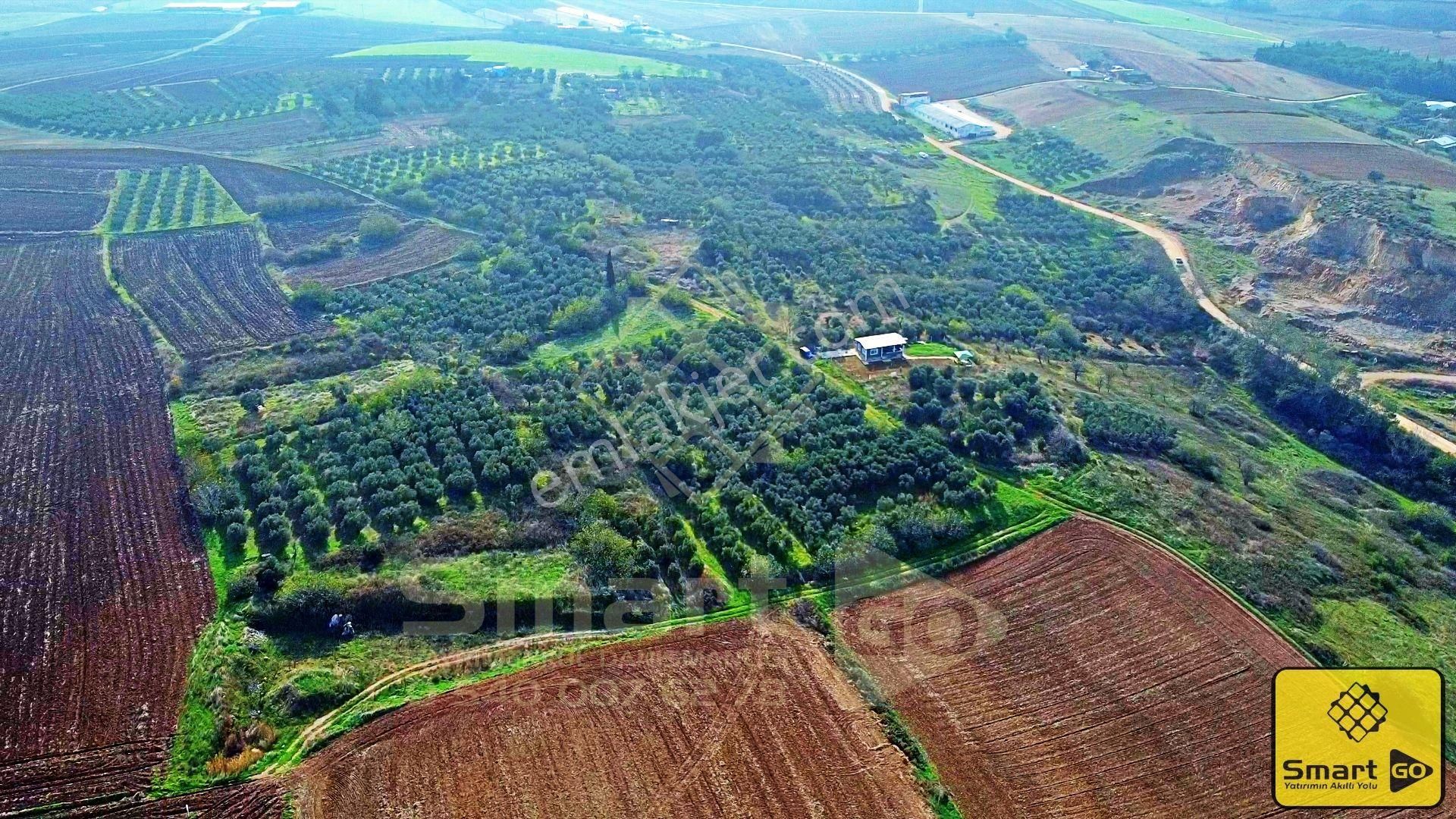 Doğruca'da 645 M² Satılık Arsa - Görsel 18