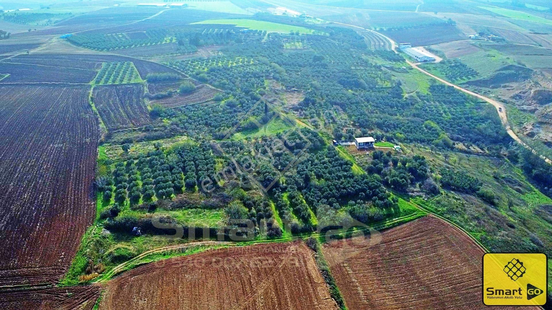 Doğruca'da 645 M² Satılık Arsa - Görsel 20