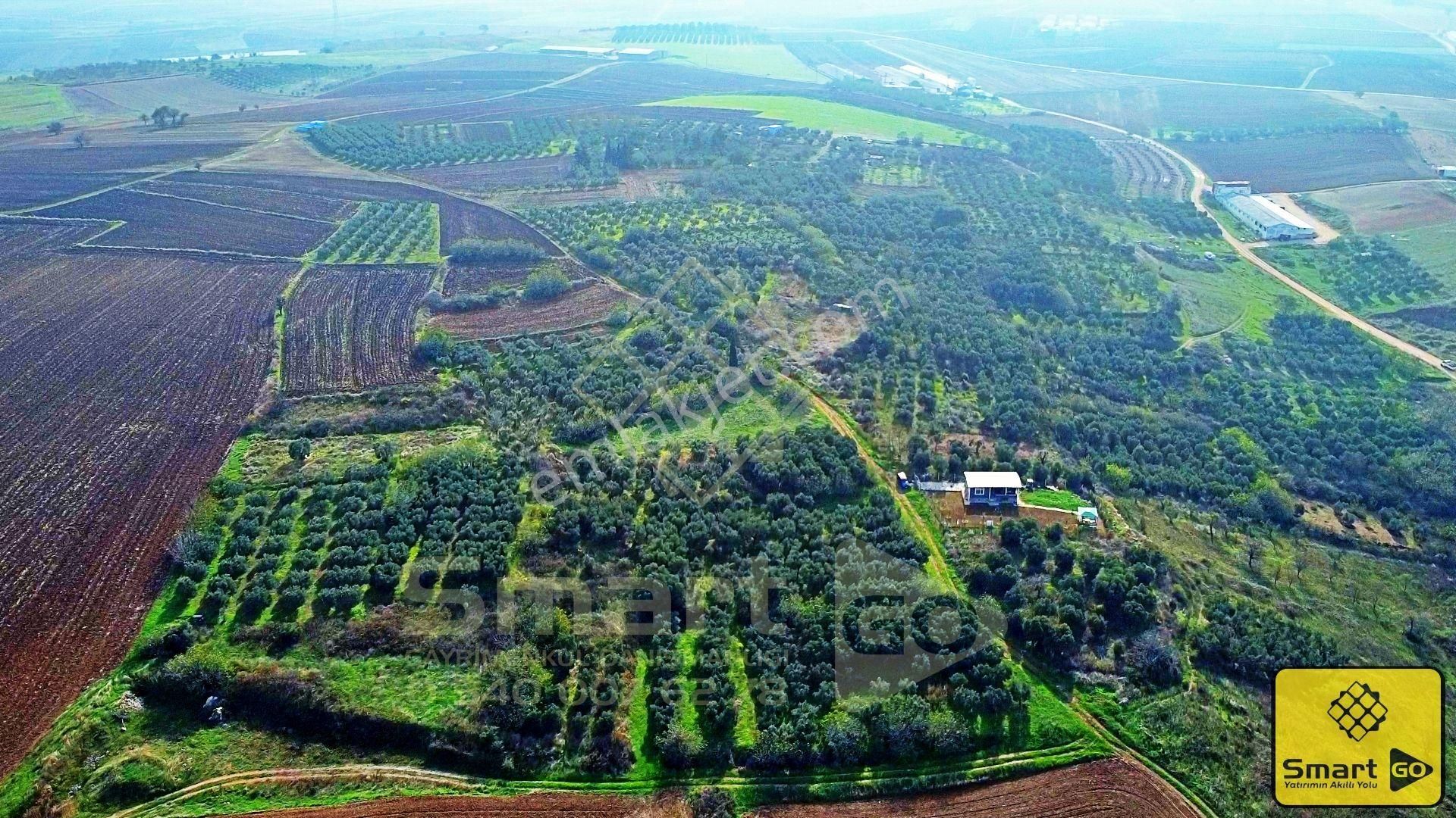 Doğruca'da 645 M² Satılık Arsa - Görsel 24