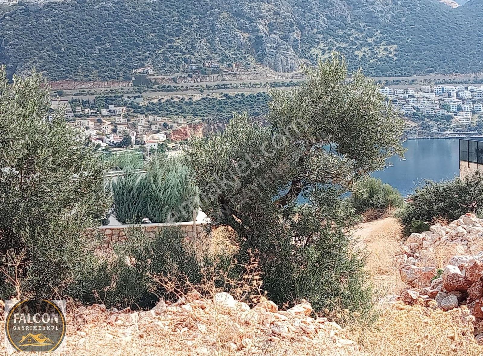 Falcon Dan Kalkan Da 1000m² Fırsat Arsa - Görsel 8