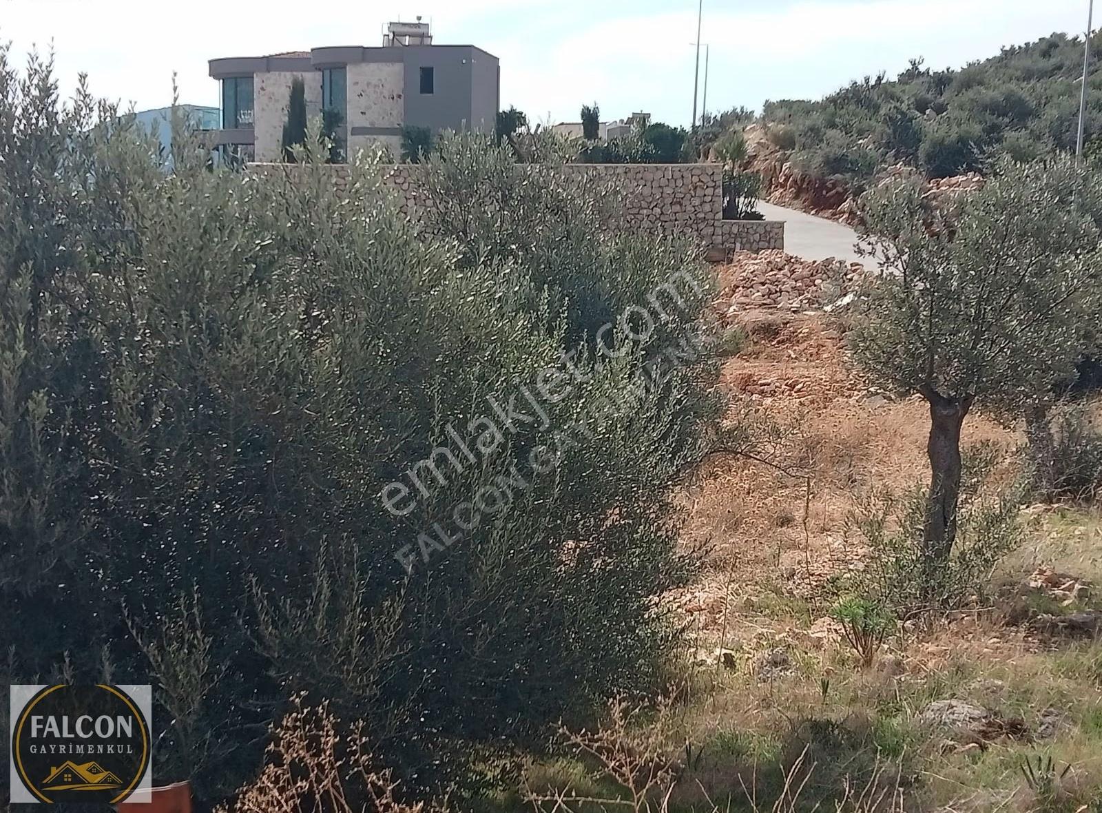 Falcon Dan Kalkan Da 1000m² Fırsat Arsa - Görsel 12