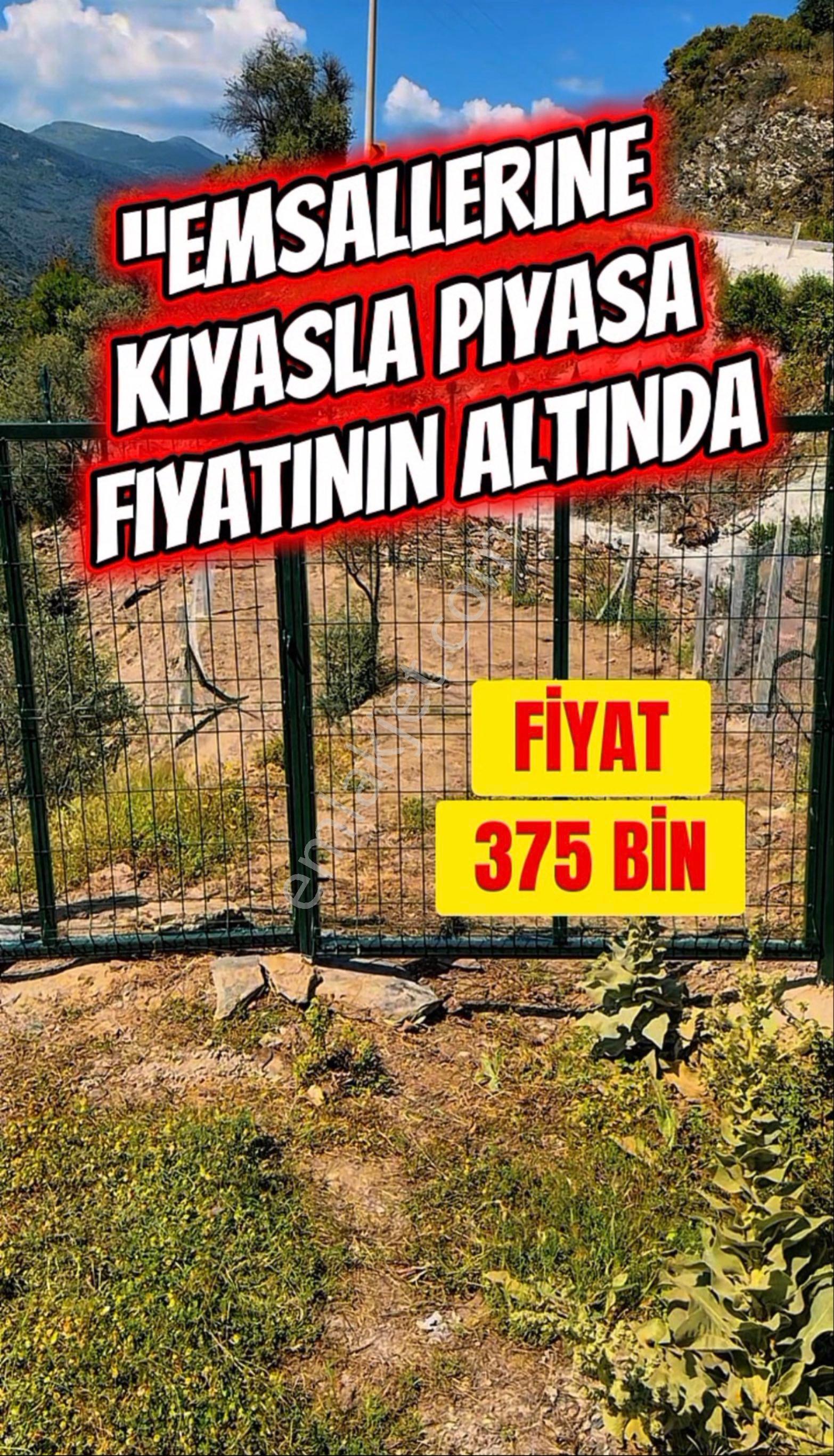 🌿 İzmir Bayındır Sarıyurt’ta 477 M2 Manzaralı, Etrafı Çitle Çevrili Ve Kullanıma Hazır Zeytinlik 🌿