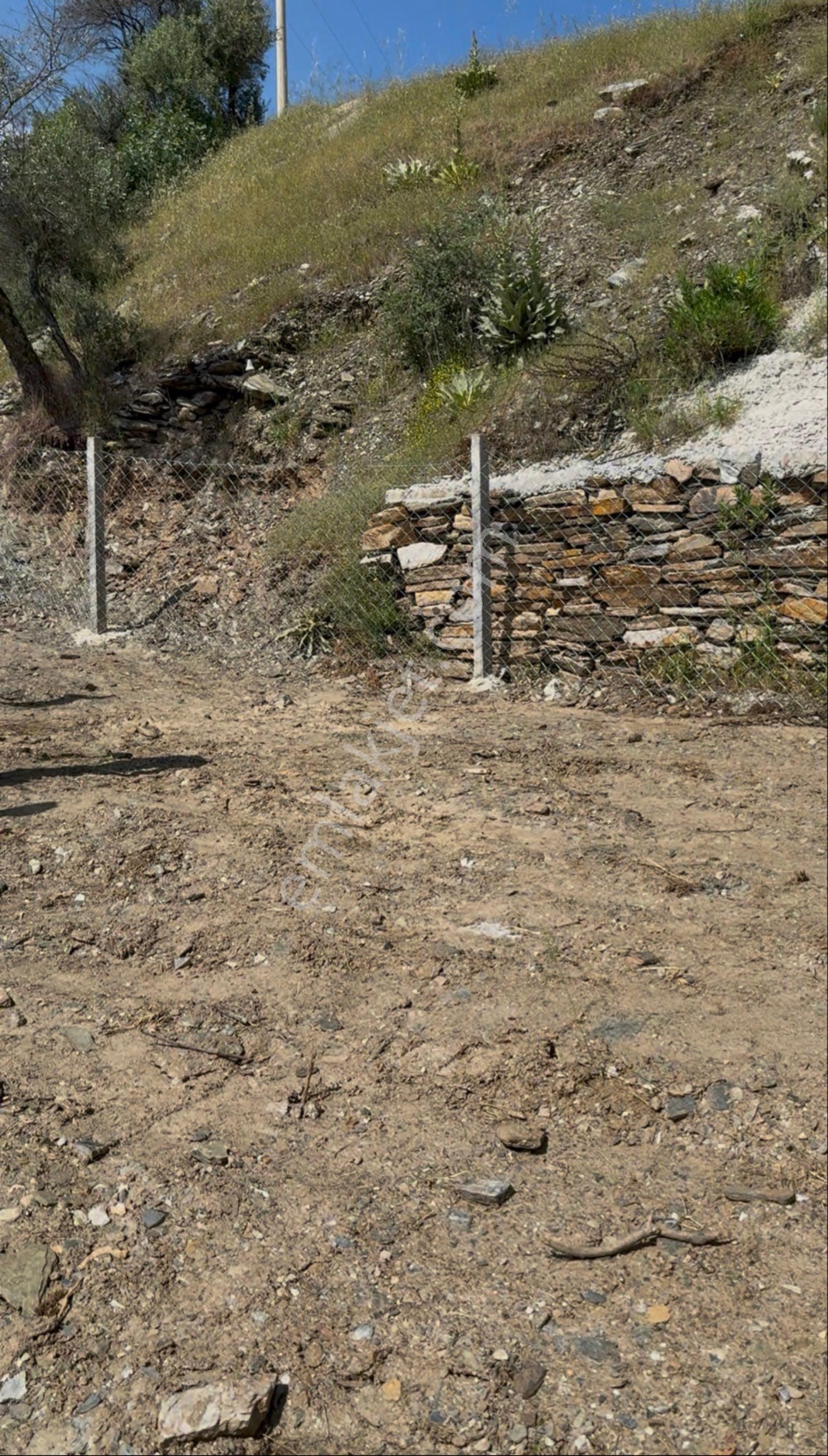 🌿 İzmir Bayındır Sarıyurt’ta 477 M2 Manzaralı, Etrafı Çitle Çevrili Ve Kullanıma Hazır Zeytinlik 🌿 - Görsel 7