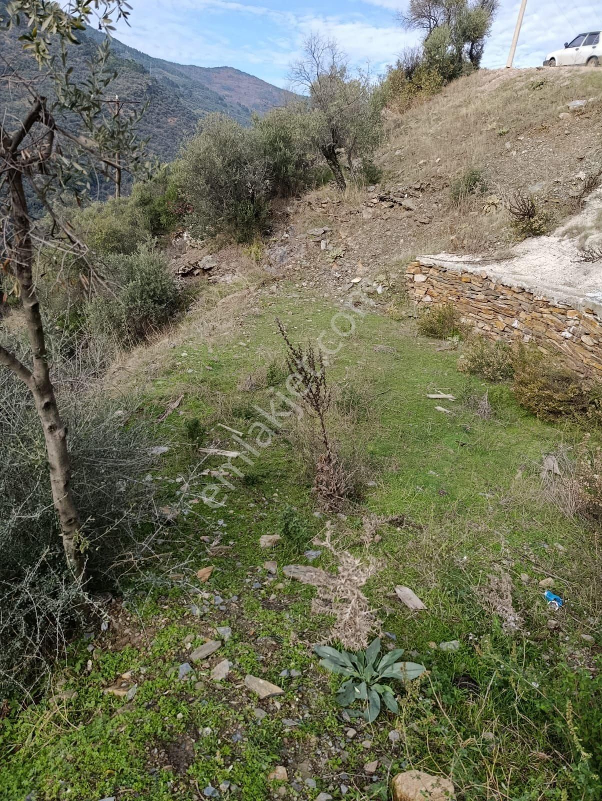 Bayındır Sarıyurt Köyünde 477 M2 Zeytinlik Asfalt Yola Cepheli Konteyner Koymaya Uygun - Görsel 9