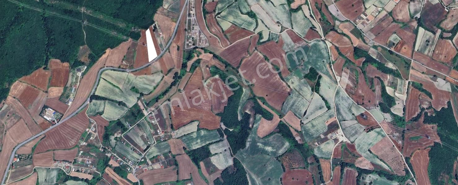 Çatalca Dağyenice Satılık 5.679 M2 Müstakil Tapulu Arazi - Görsel 4