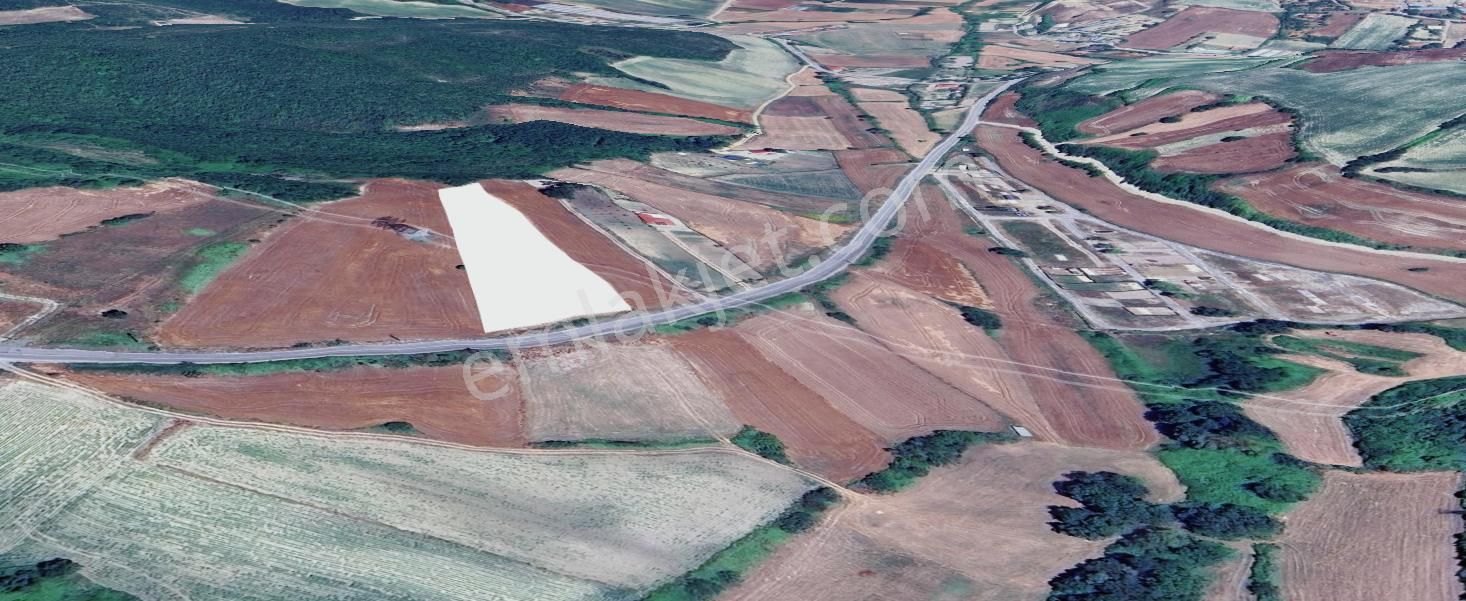 Çatalca Dağyenice Satılık 5.679 M2 Müstakil Tapulu Arazi - Görsel 7