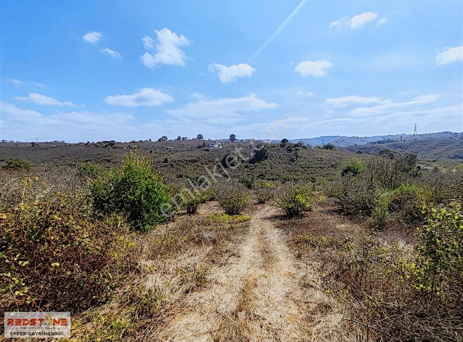 Karasu Kuzuluk'ta Ev Yapımına Uygun İmara Yakın Fındık Bahçesi - Görsel 11
