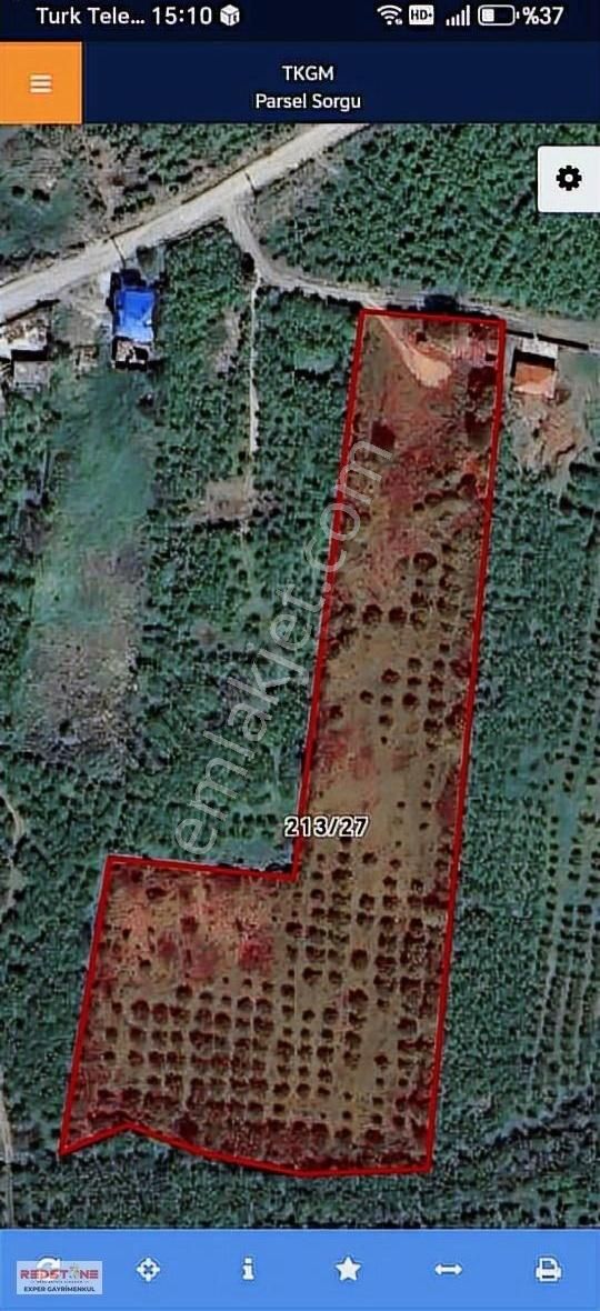 Karasu Kuzuluk'ta Ev Yapımına Uygun İmara Yakın Fındık Bahçesi - Görsel 15