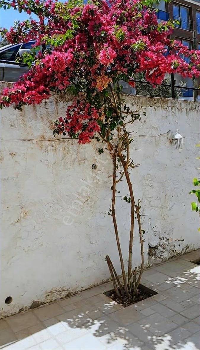 Gazi Paşa Yakamoz Mevkiinde Satılık 2+1 Bahçe Katı Daire - Görsel 5