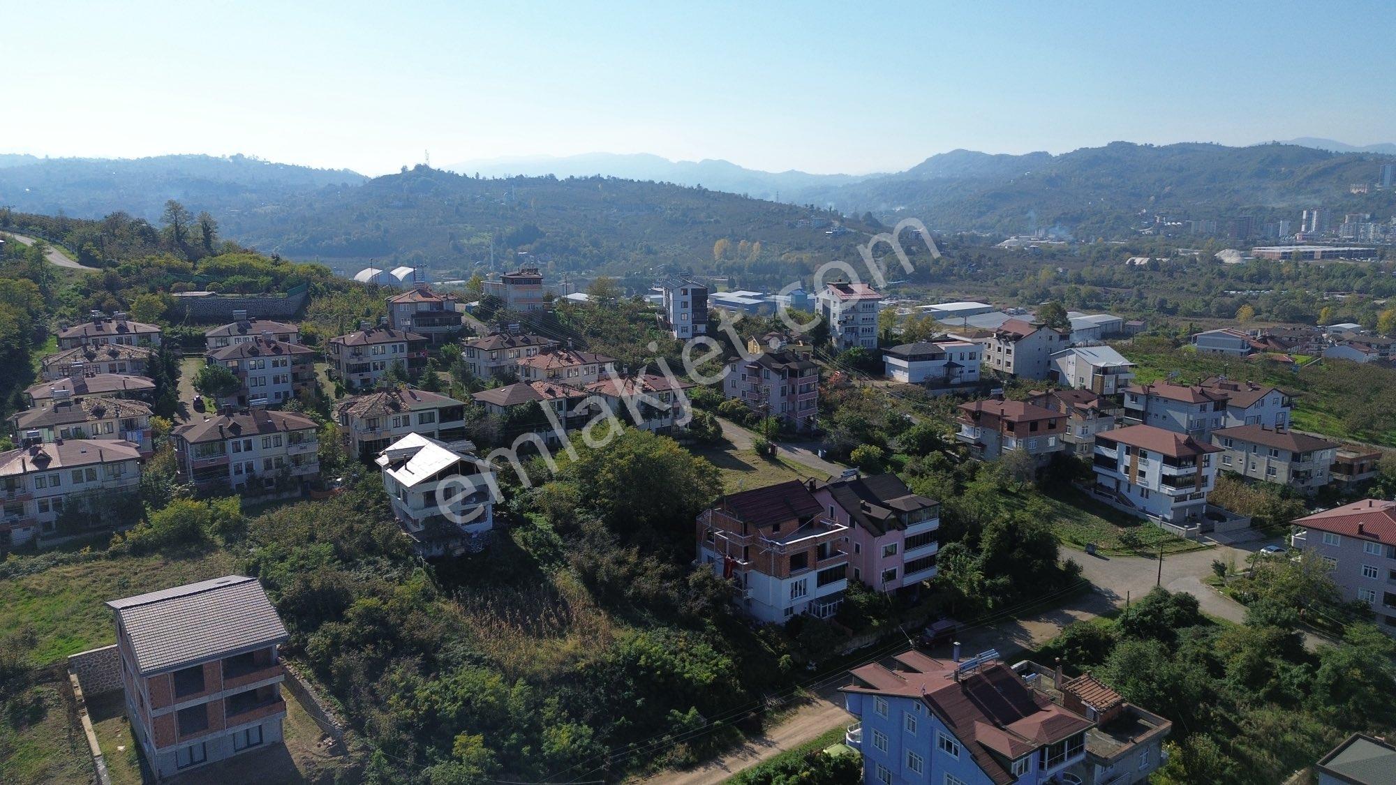 Z Grup Fatsa Yenipazar Mah. 347m2 Deniz Manzaralı Villa Arsası - Görsel 3